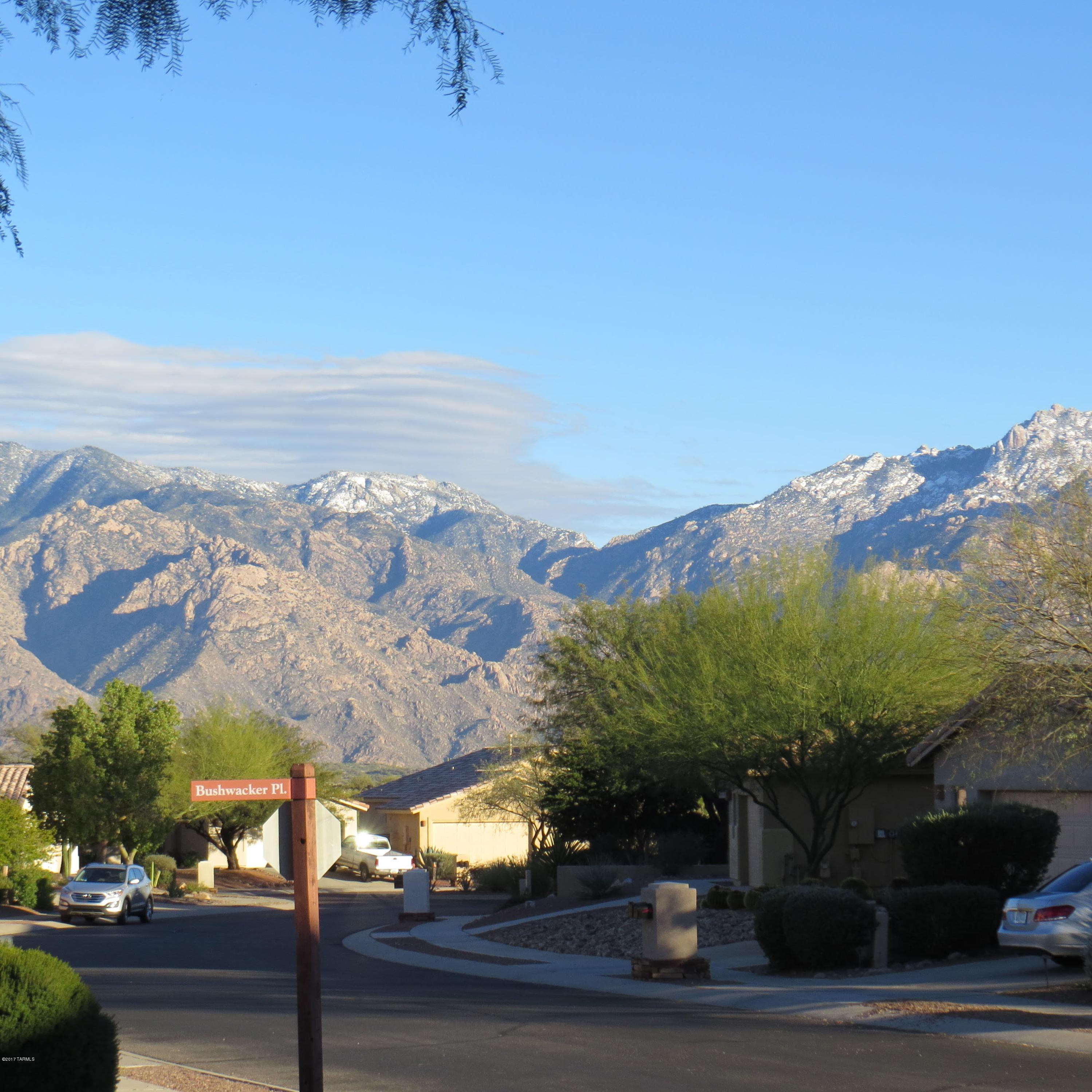 13711 N Bushwacker Place