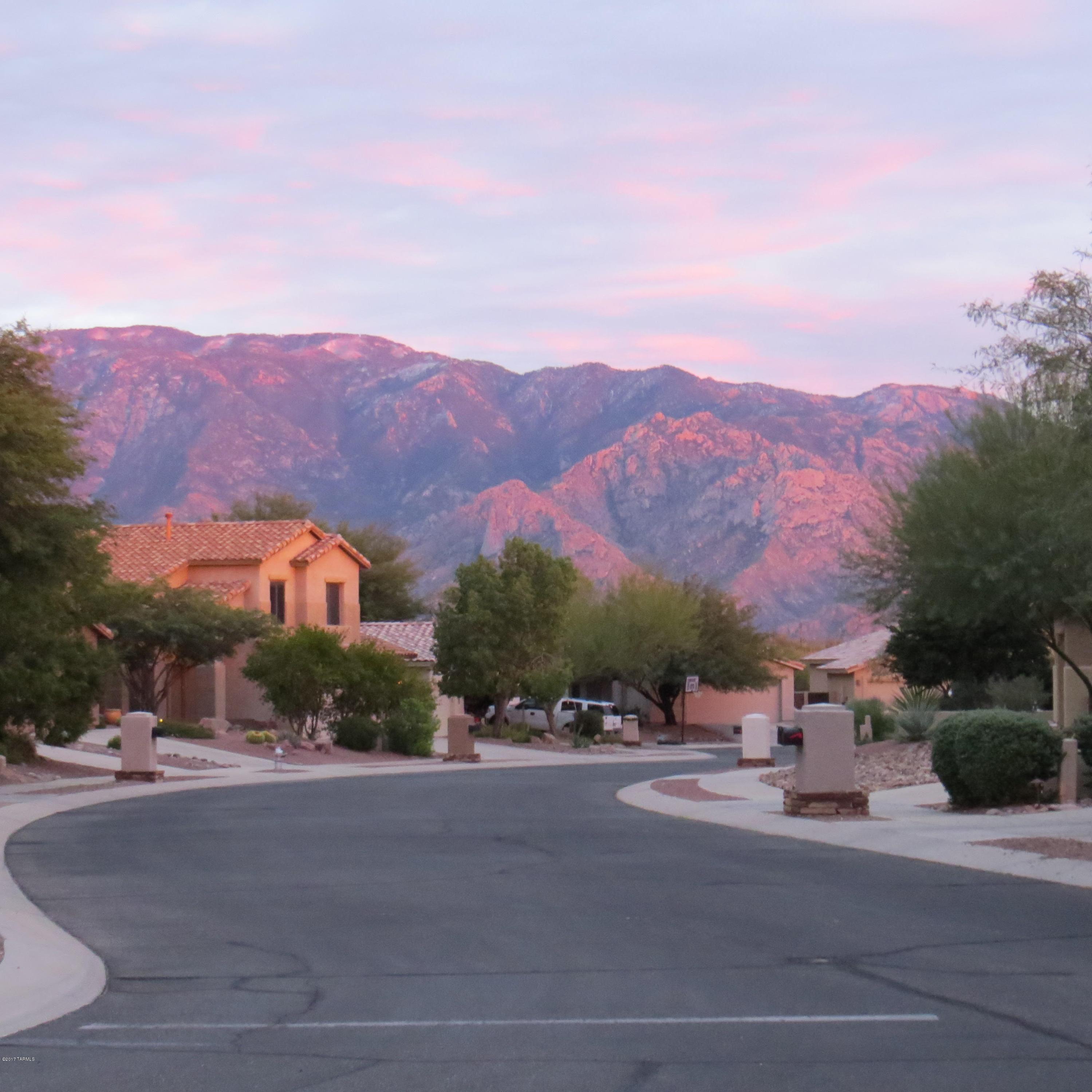 13711 N Bushwacker Place