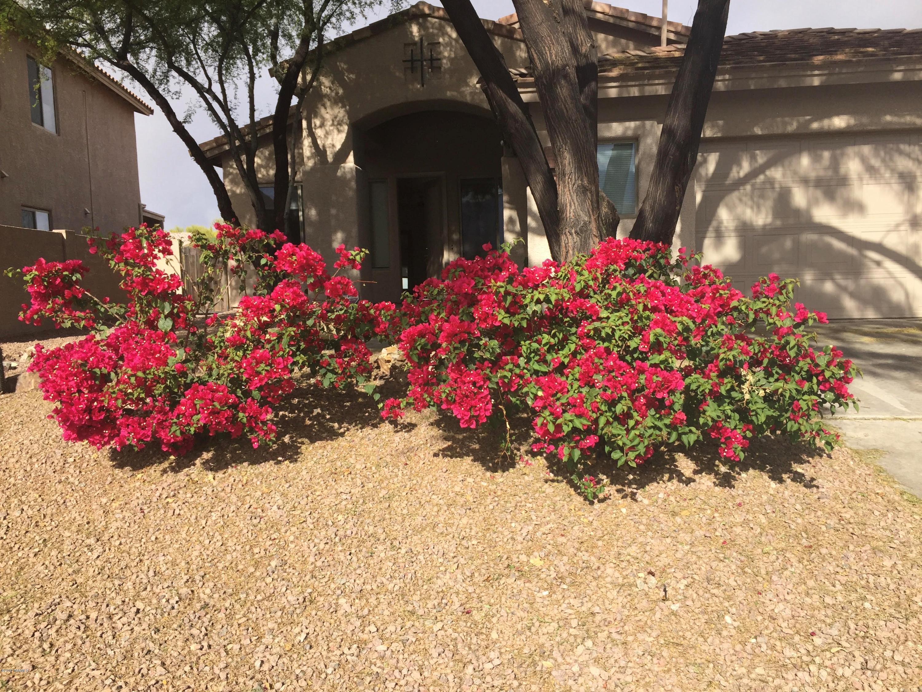 13711 N Bushwacker Place