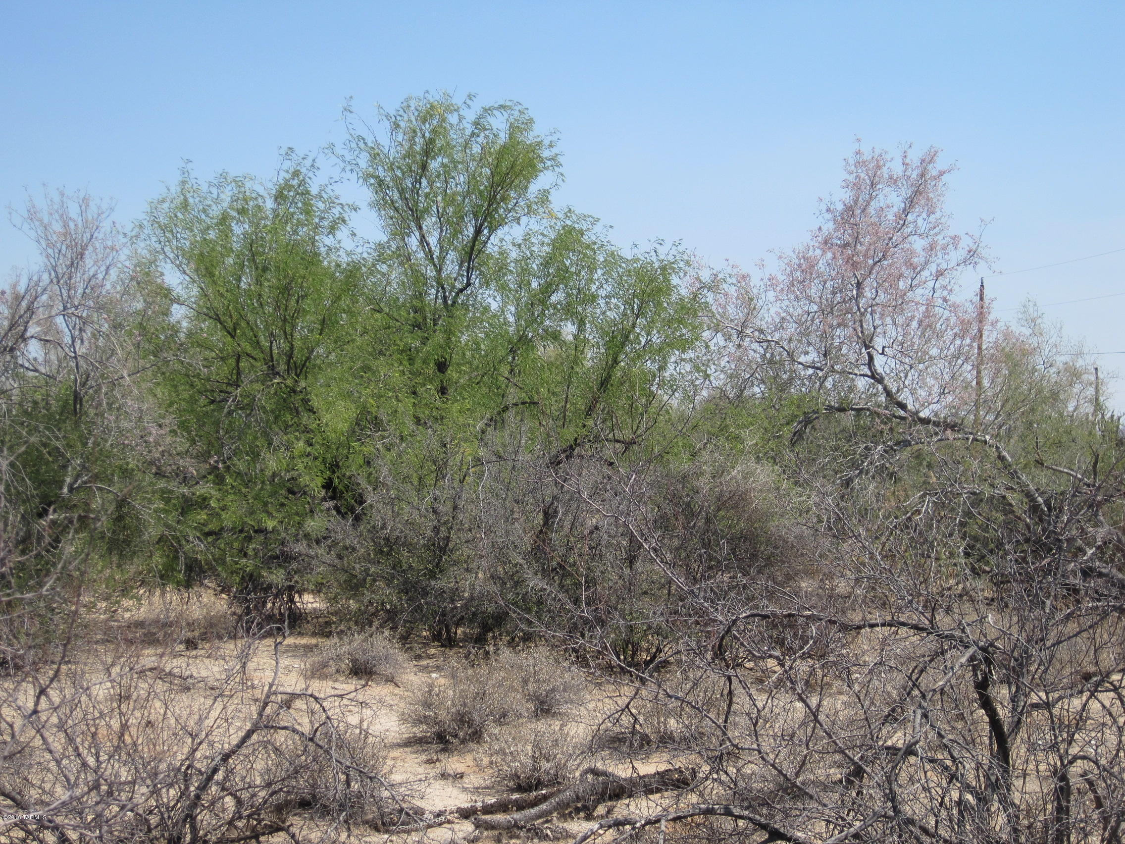 10000 blk N CAMINO DE OESTE