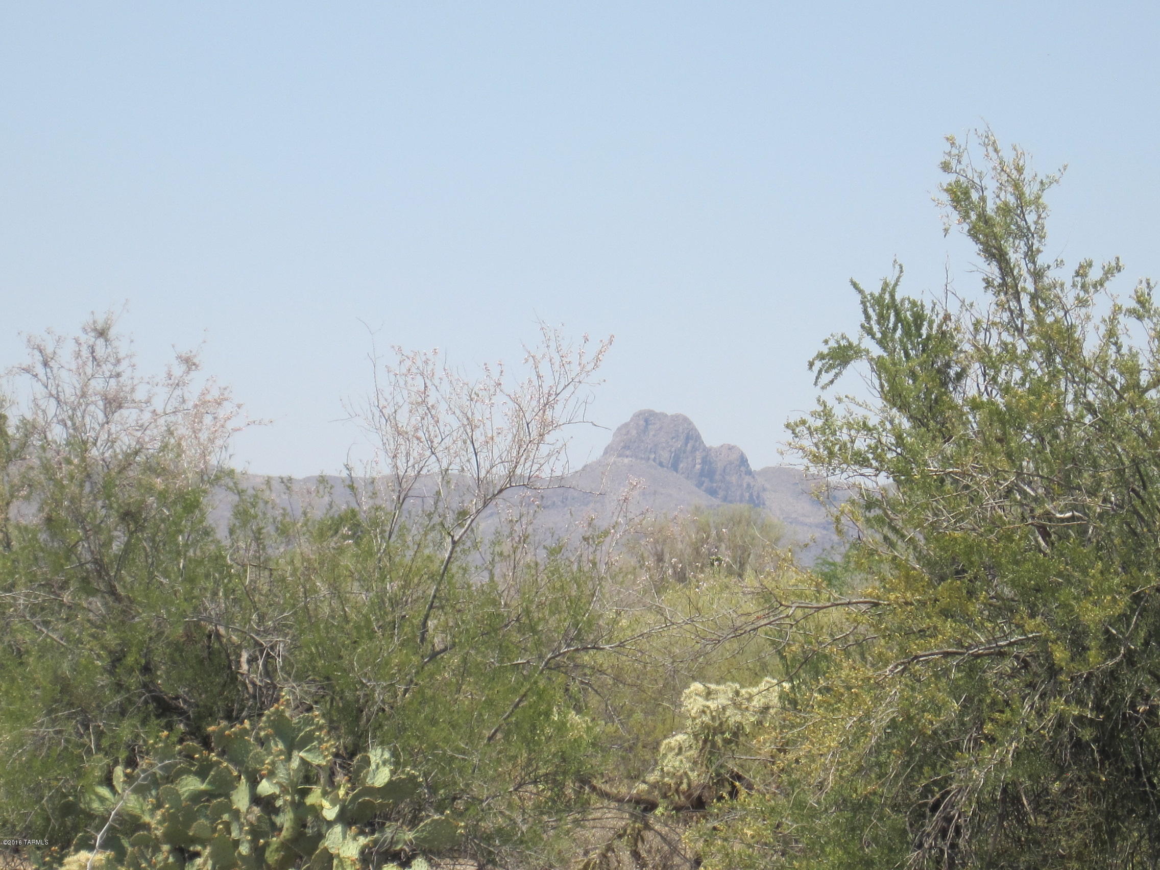 10000 blk N CAMINO DE OESTE