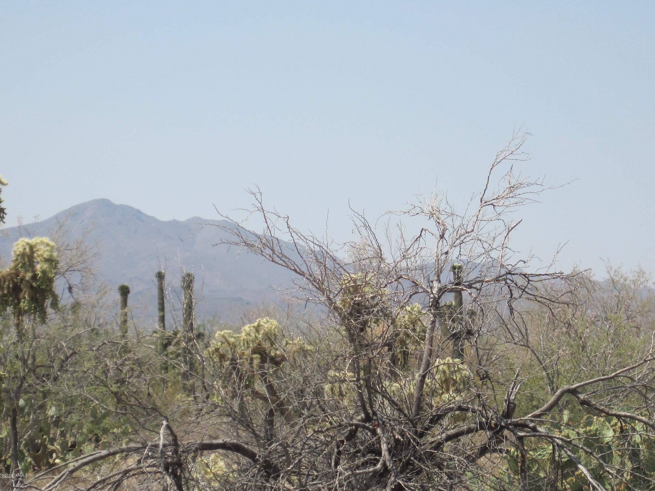 10000 blk N CAMINO DE OESTE