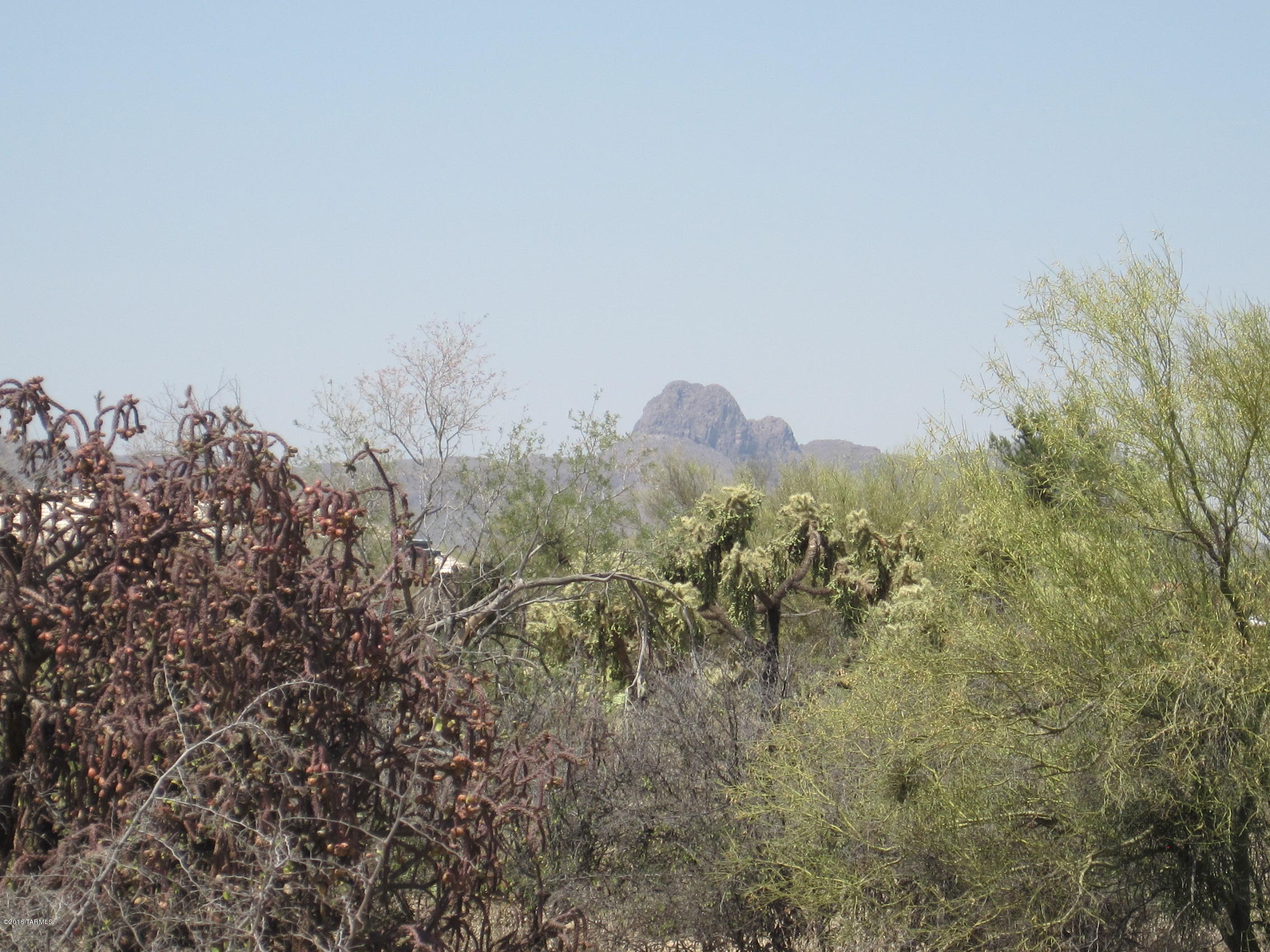 10000 blk N CAMINO DE OESTE