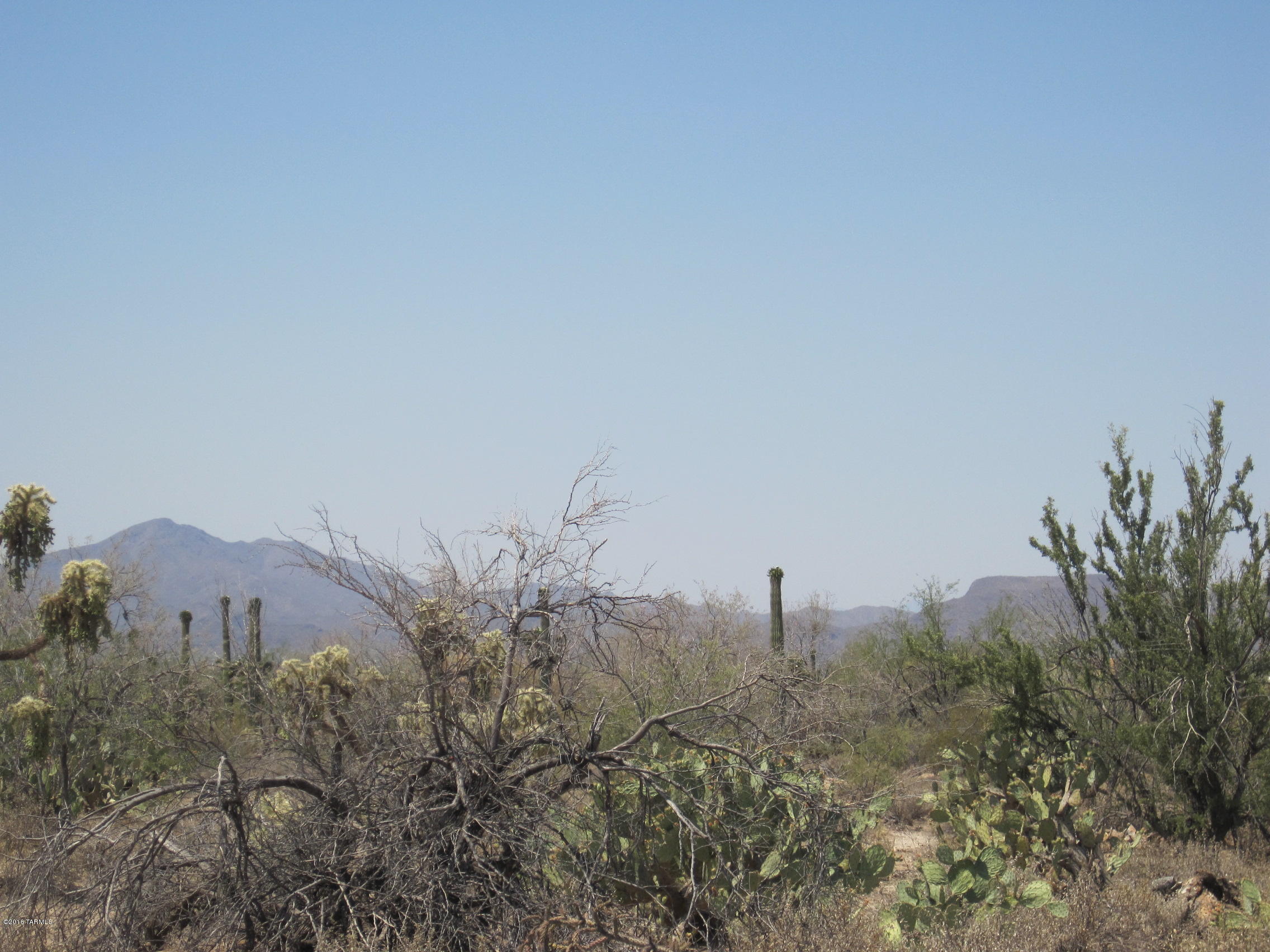 10000 blk N CAMINO DE OESTE