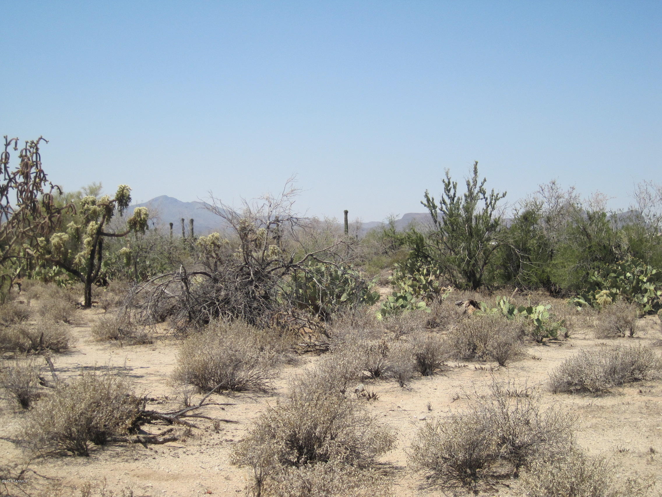 10000 blk N CAMINO DE OESTE