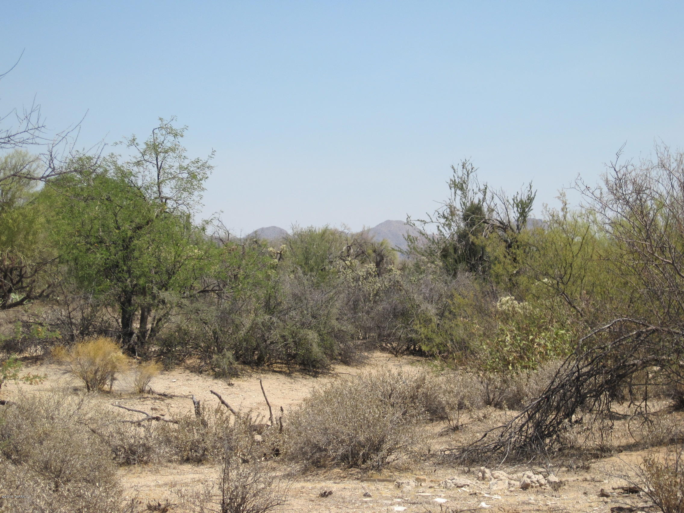 10000 blk N CAMINO DE OESTE