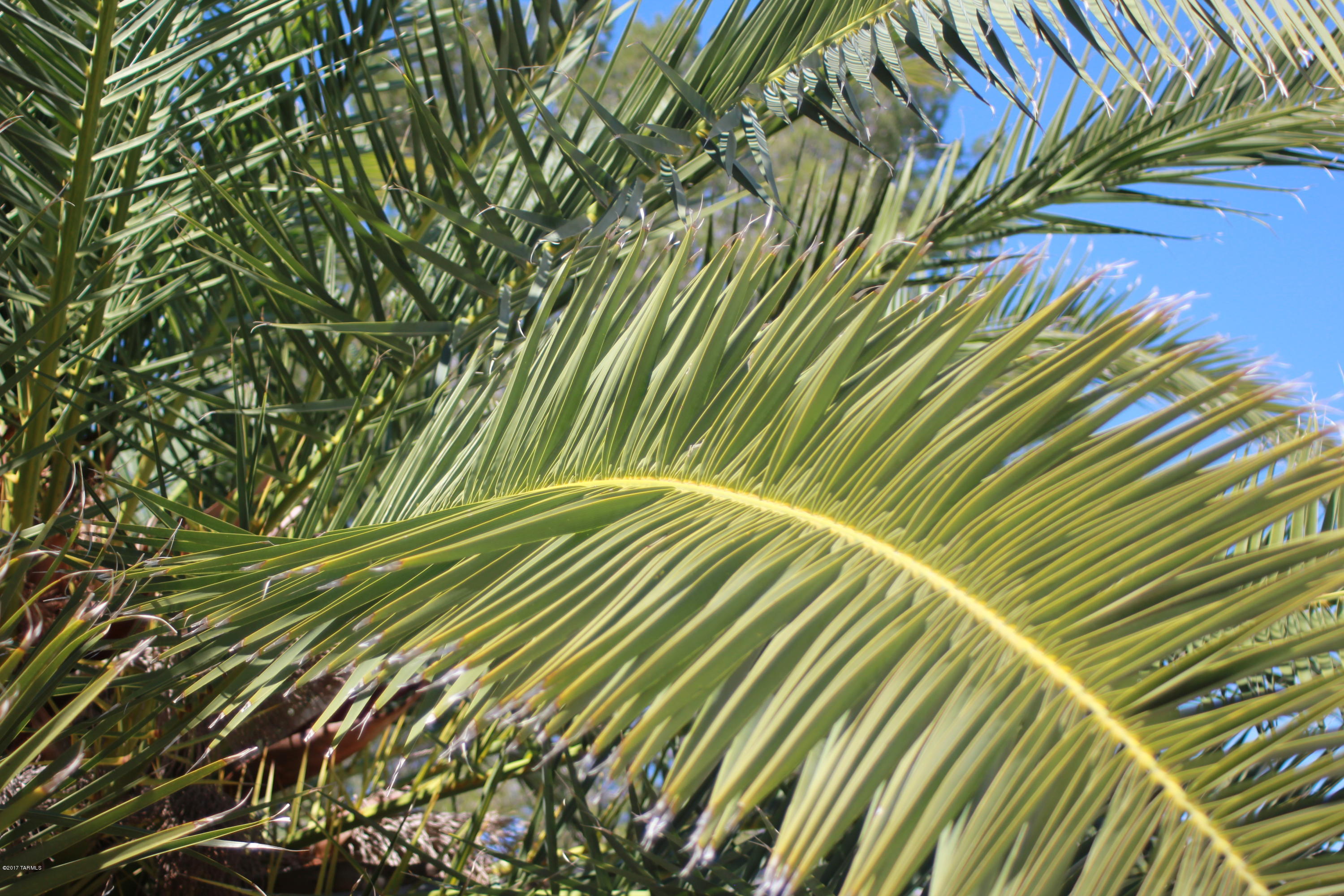 2350 S Bonanza Avenue