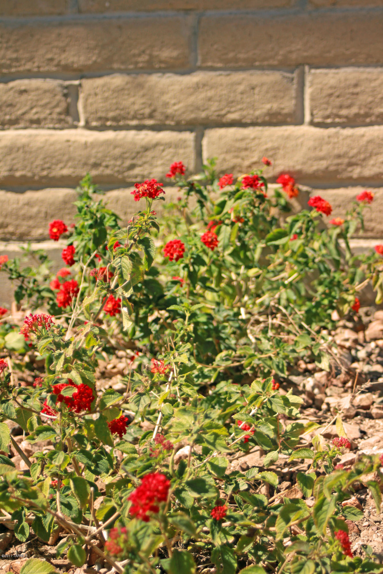 2350 S Bonanza Avenue