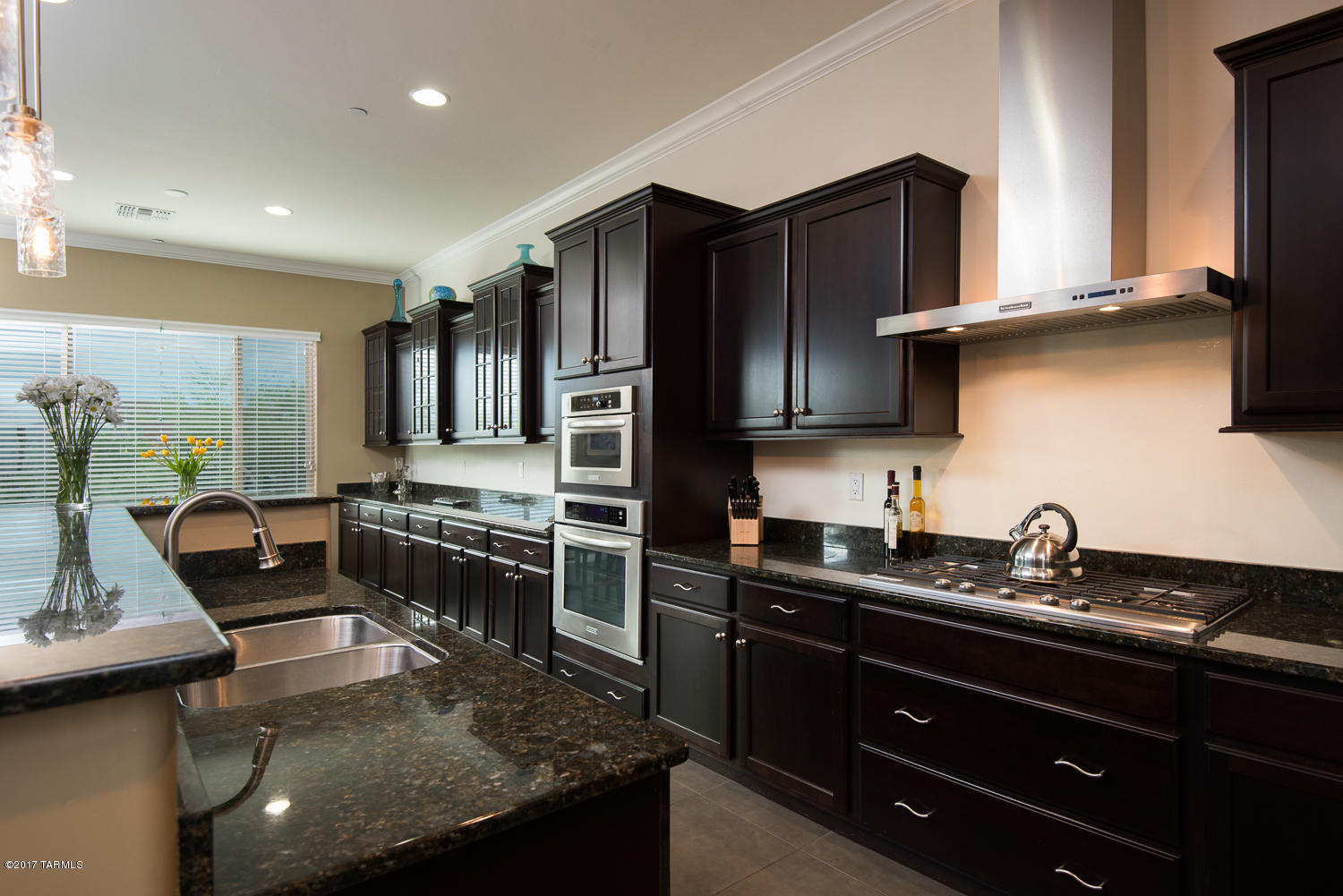 12585 N Golden Mirror Drive