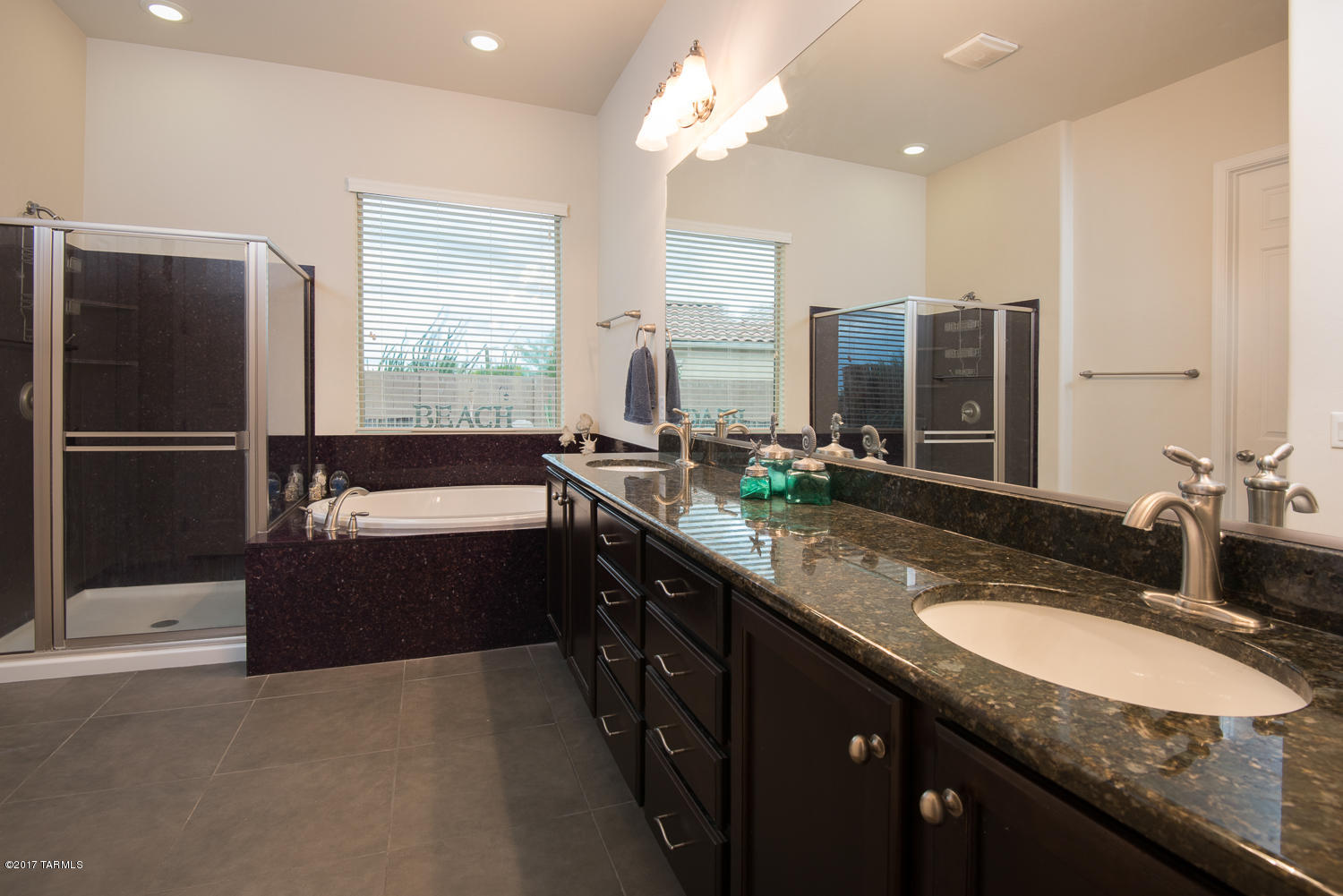 12585 N Golden Mirror Drive