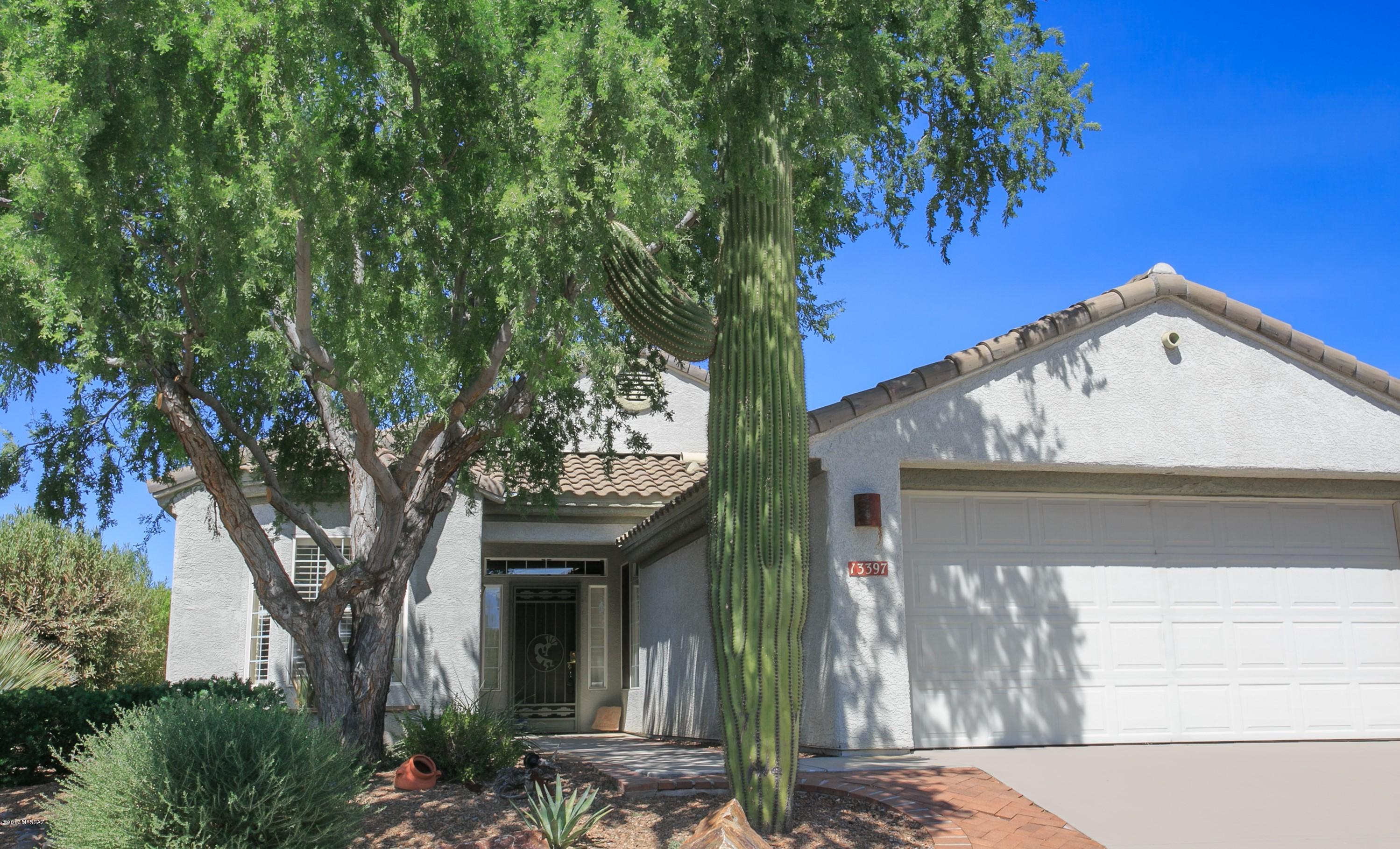 13397 N Sunset Mesa Drive