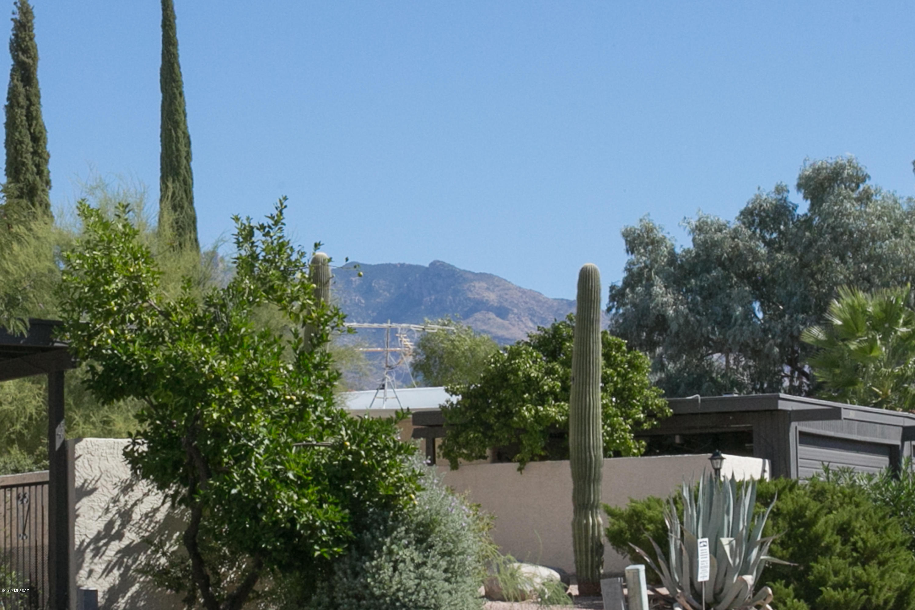 728 W Orange Tree Place