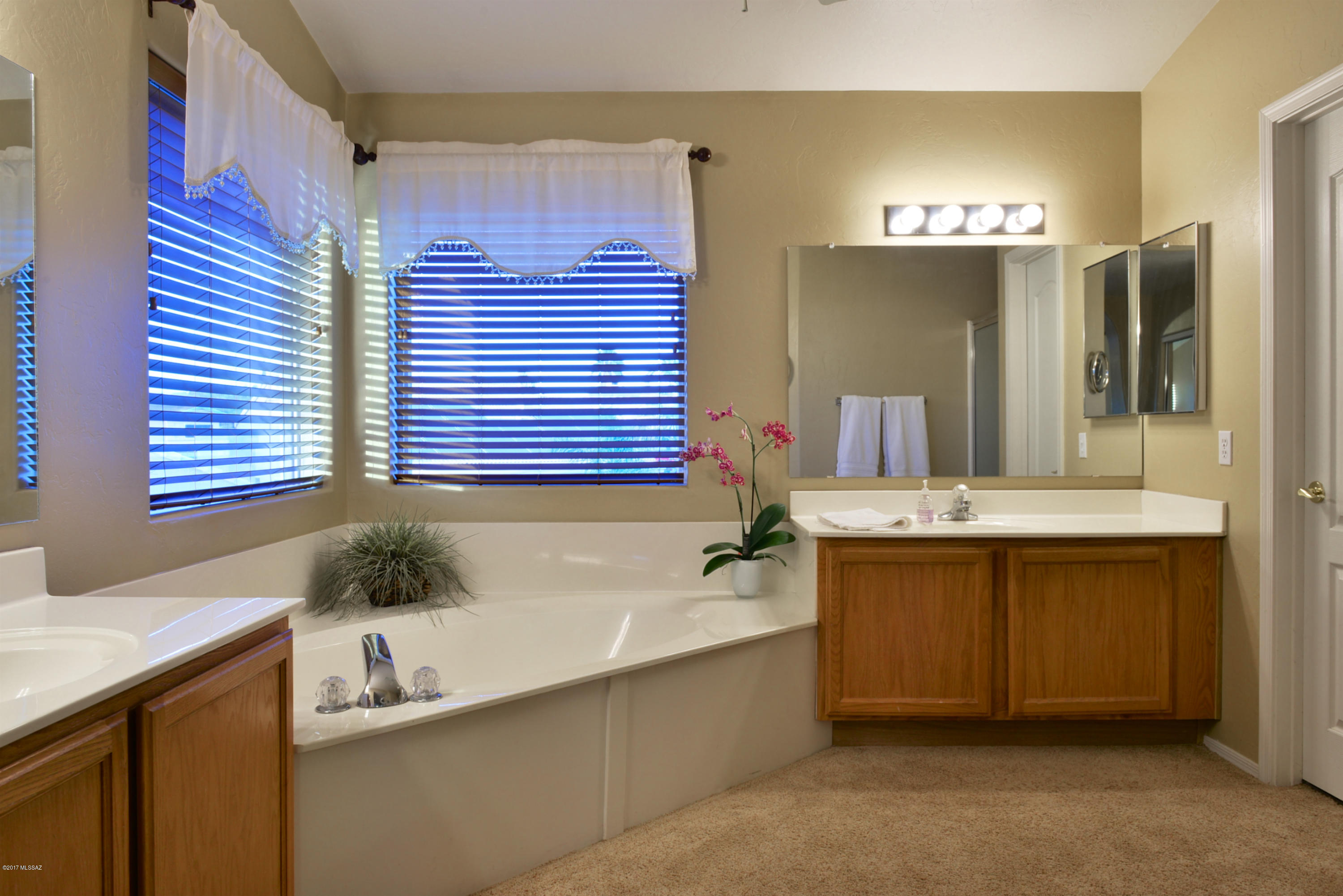 5294 W Hematite Place