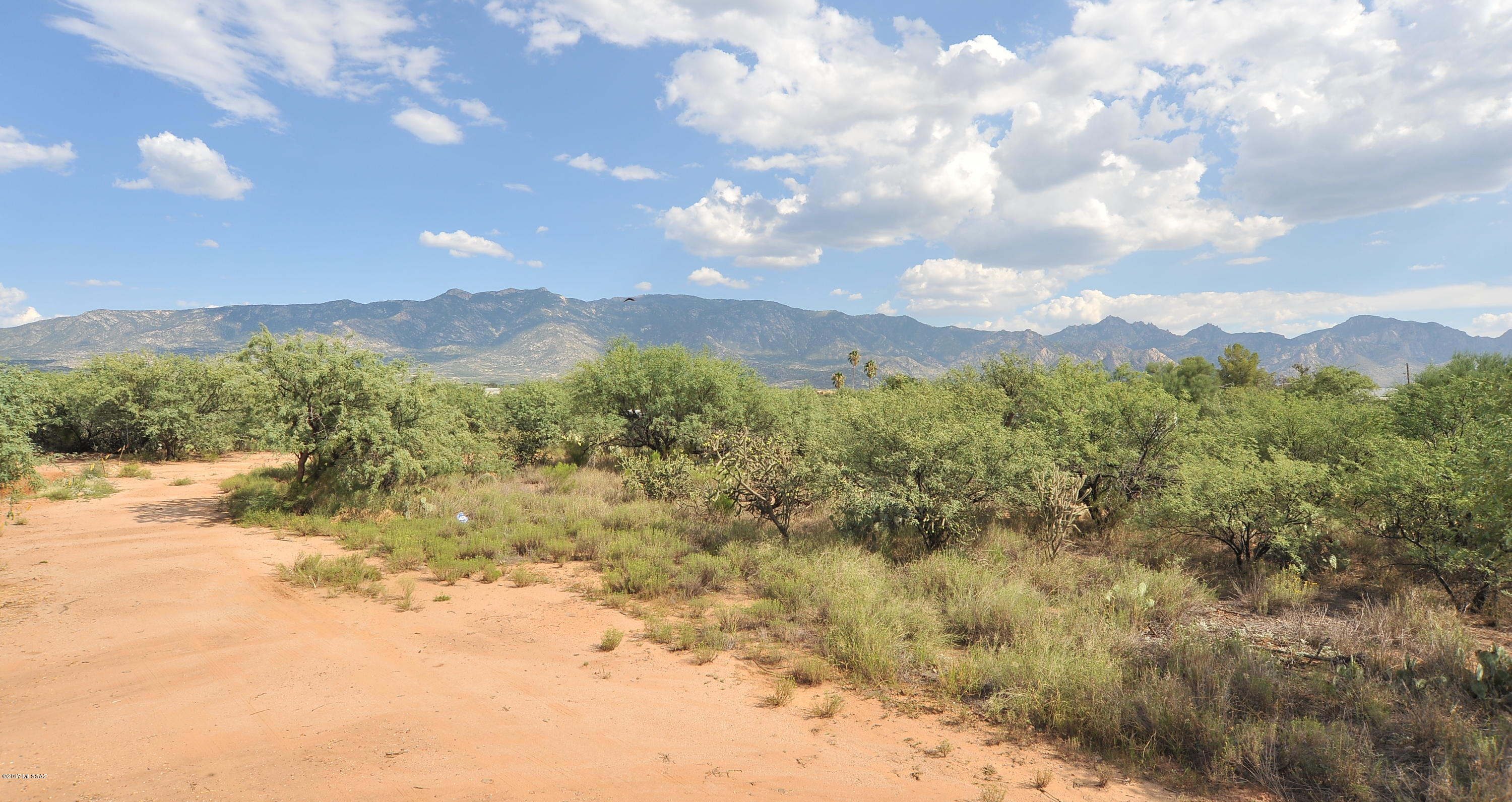 16286 N Forecastle Avenue