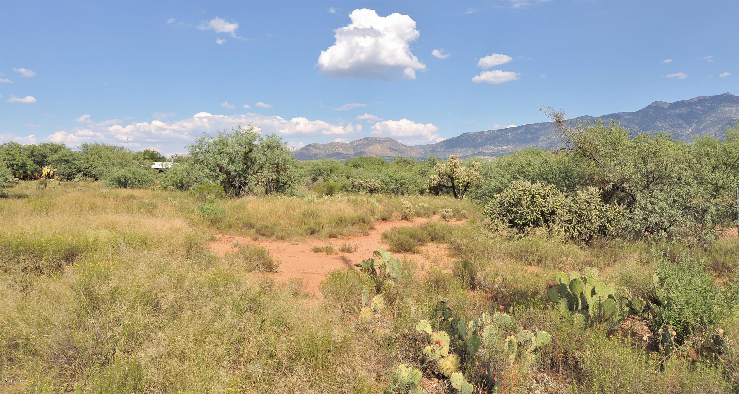 16286 N Forecastle Avenue