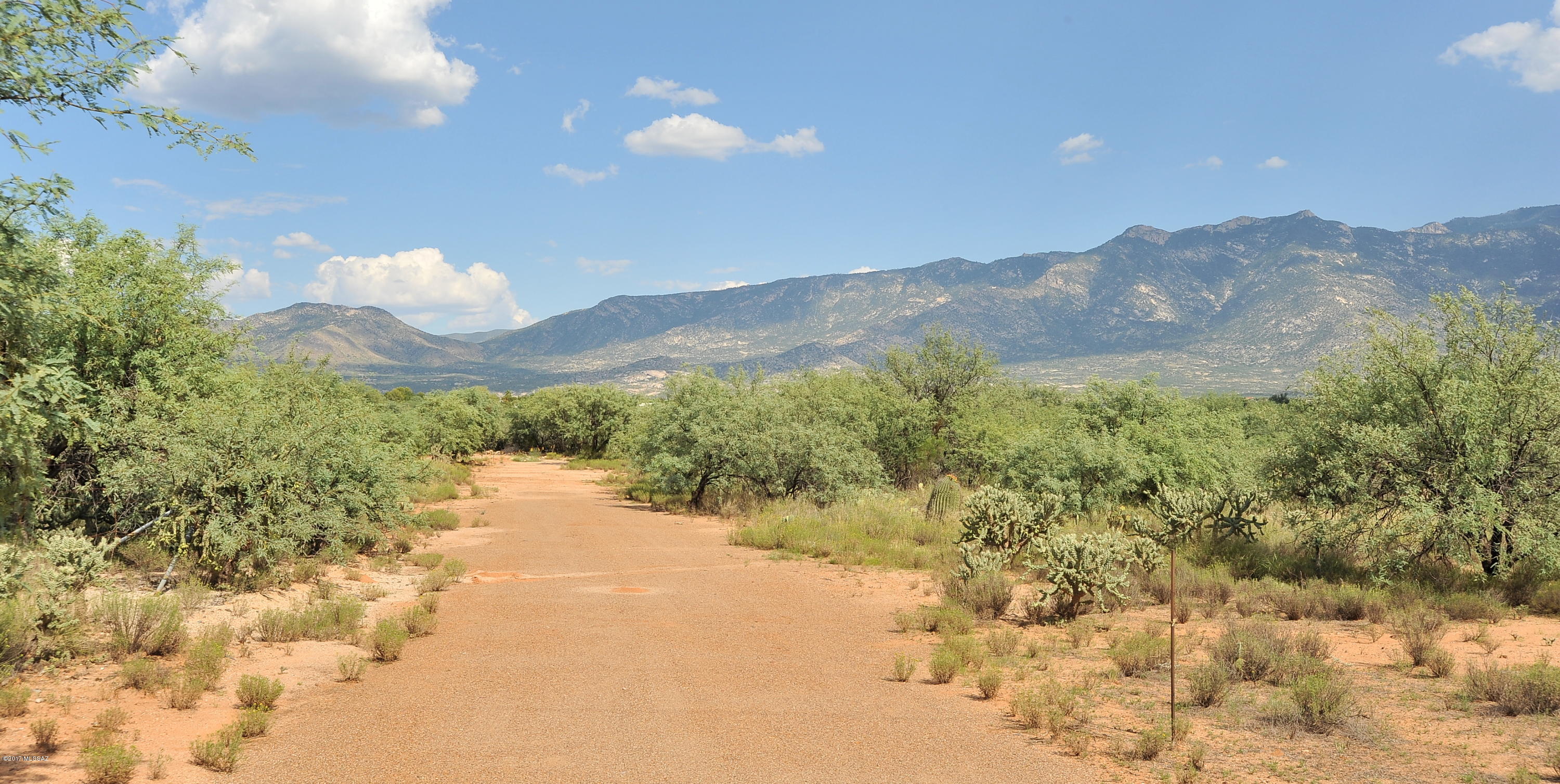 16286 N Forecastle Avenue