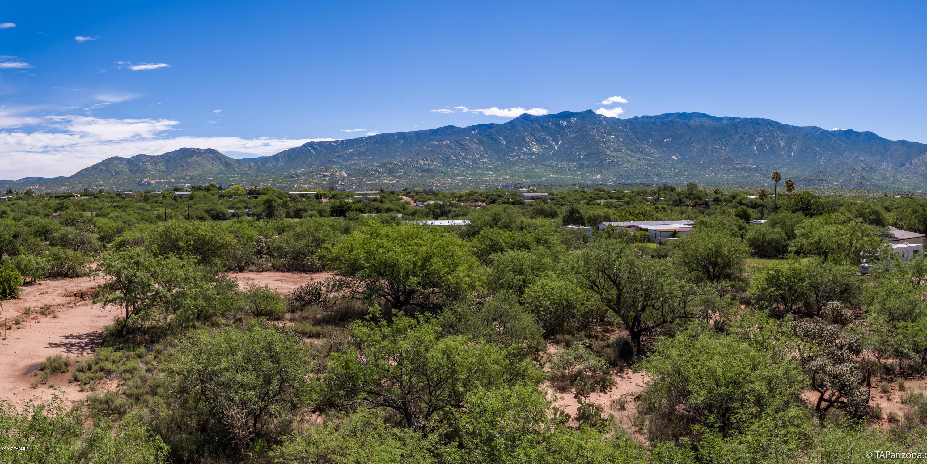 16286 N Forecastle Avenue