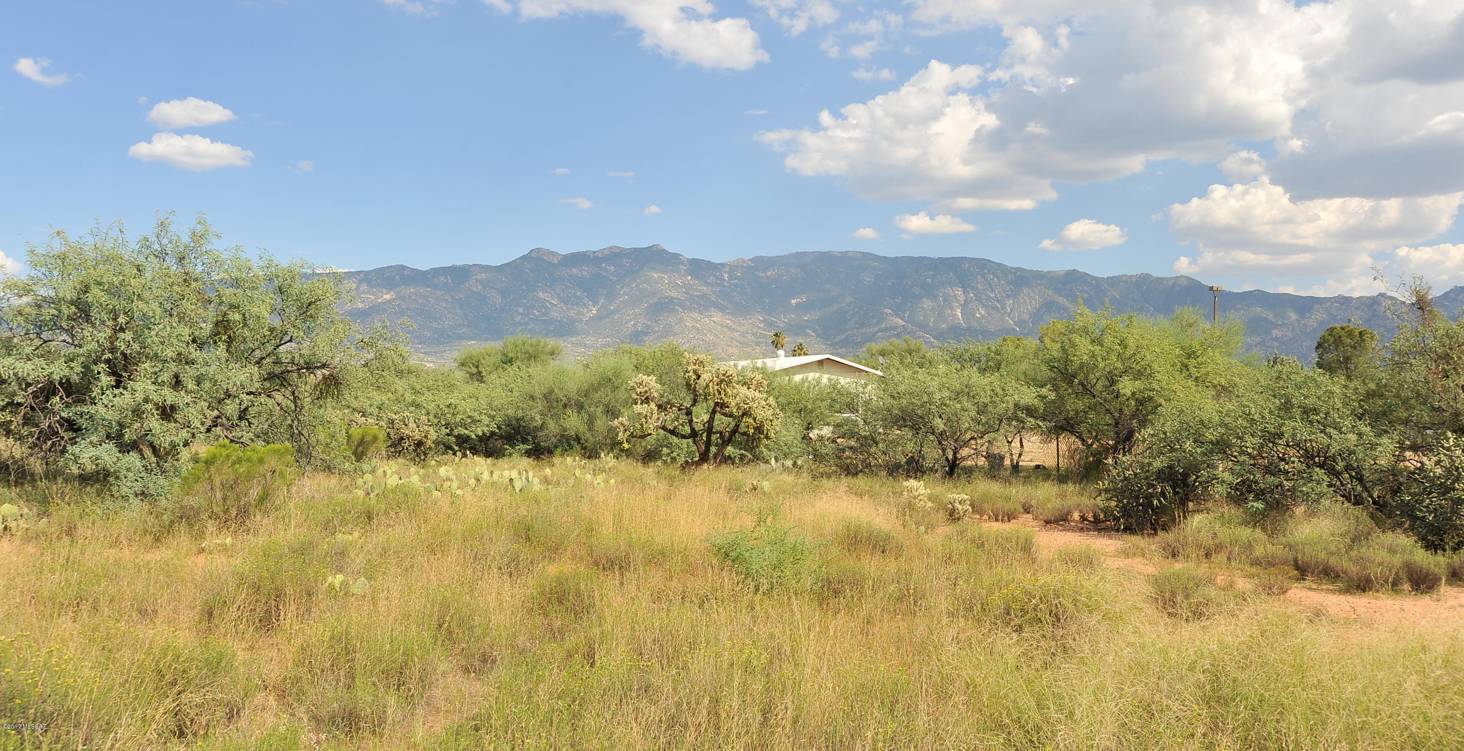 16286 N Forecastle Avenue