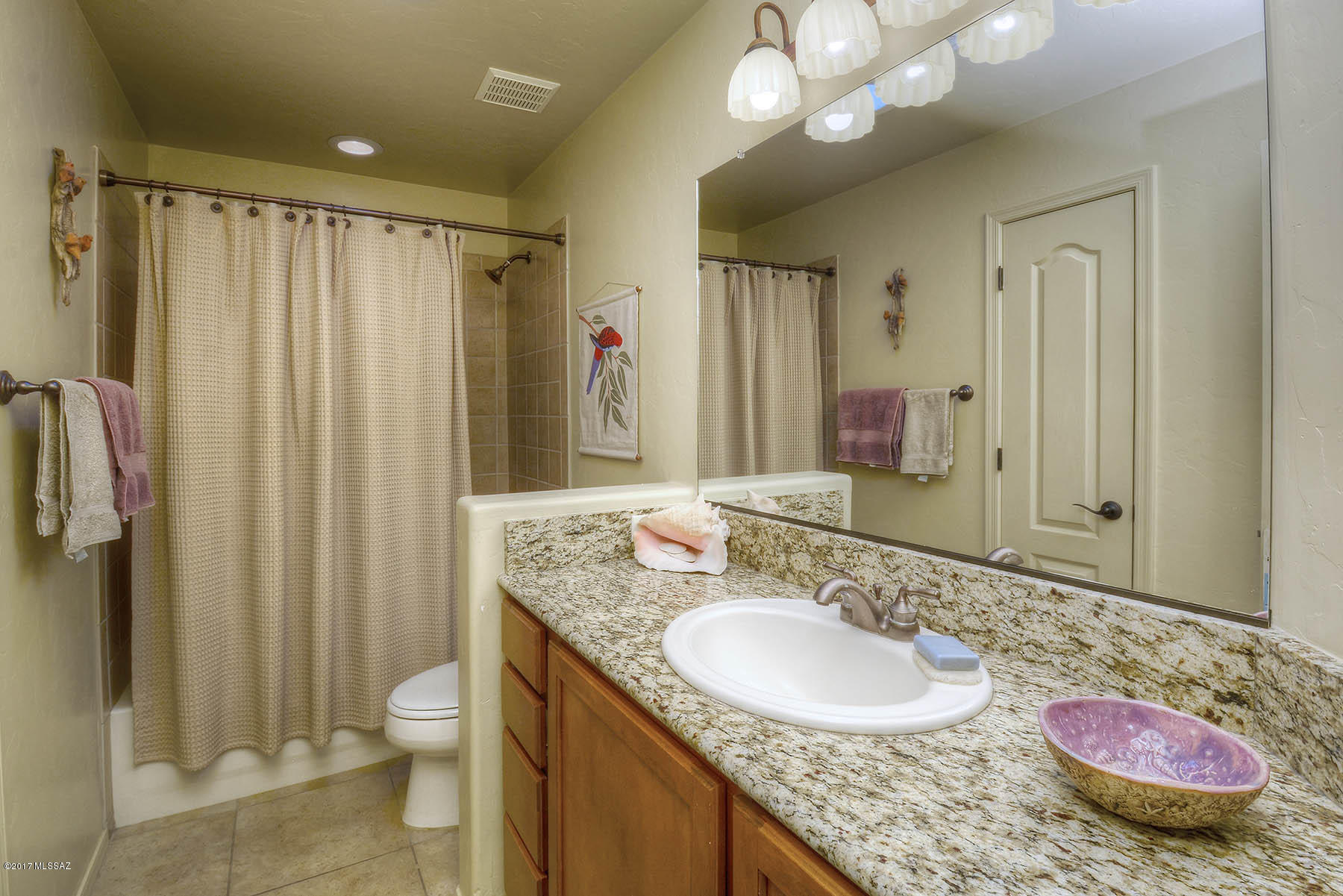 223 E Spring Sky Street