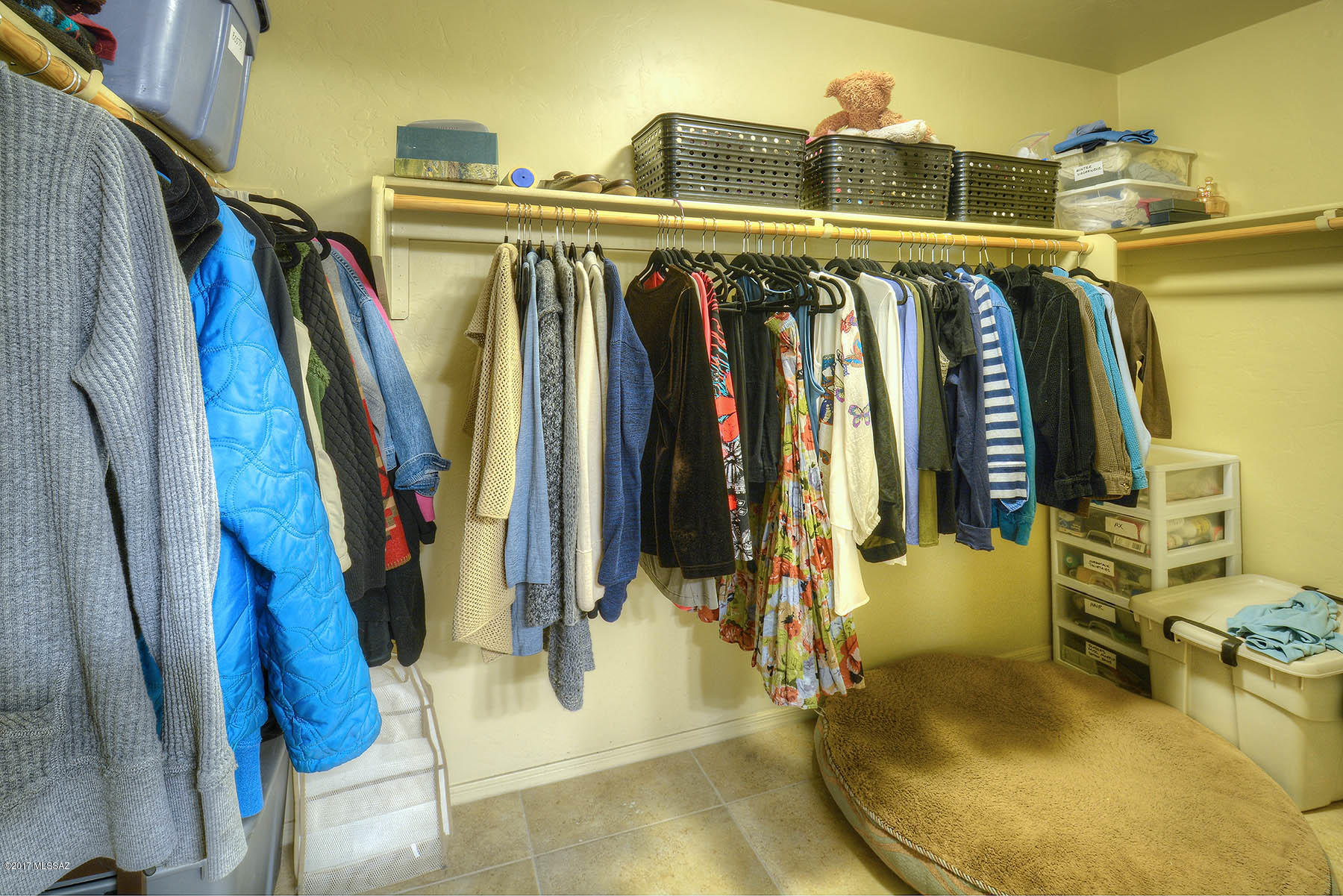 223 E Spring Sky Street