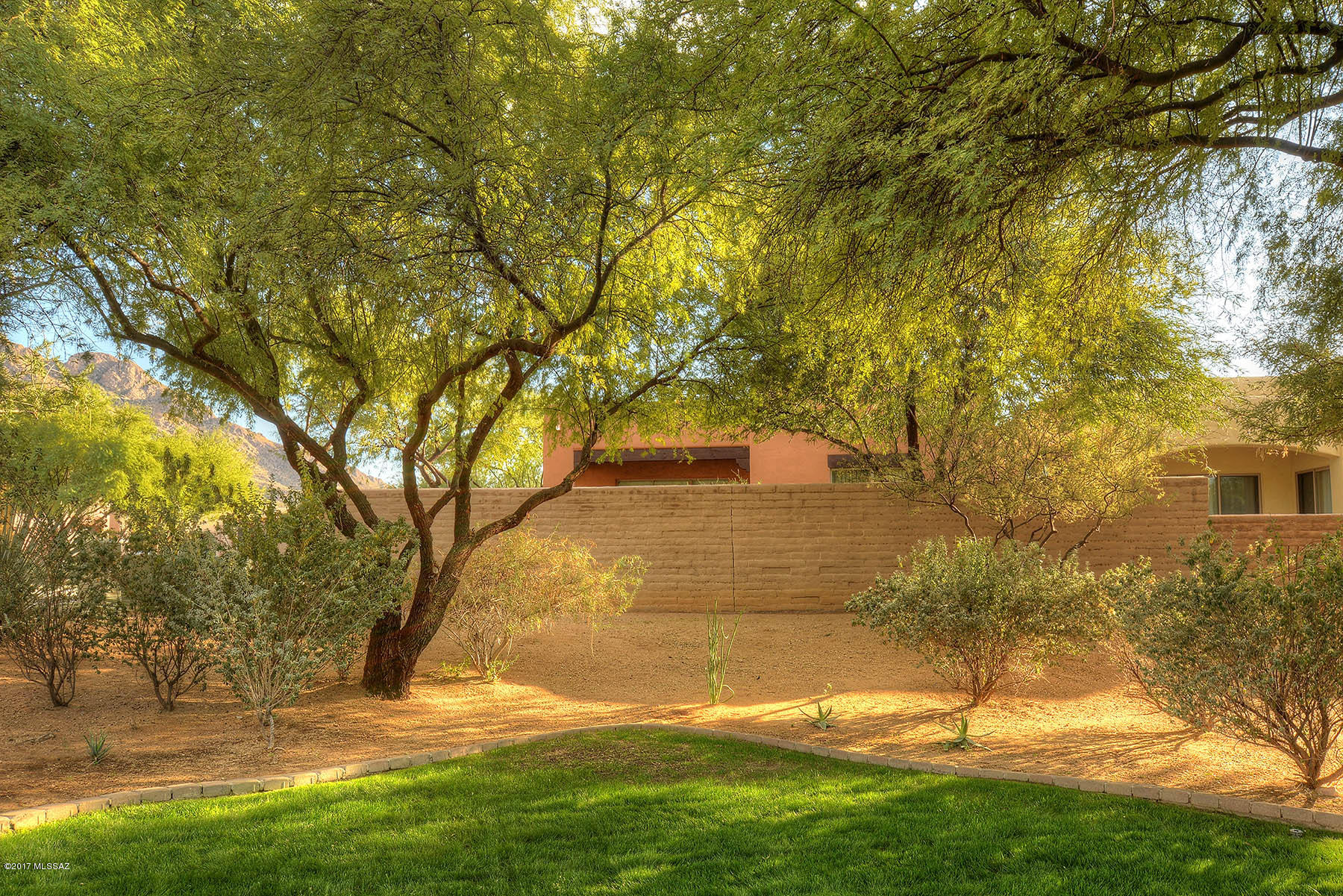 223 E Spring Sky Street