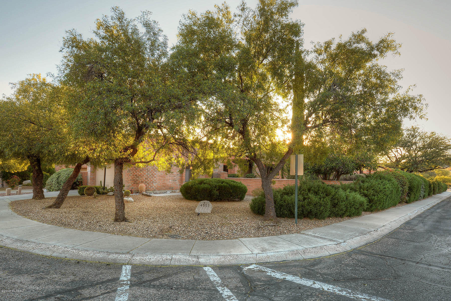 4593 N Camino Campero