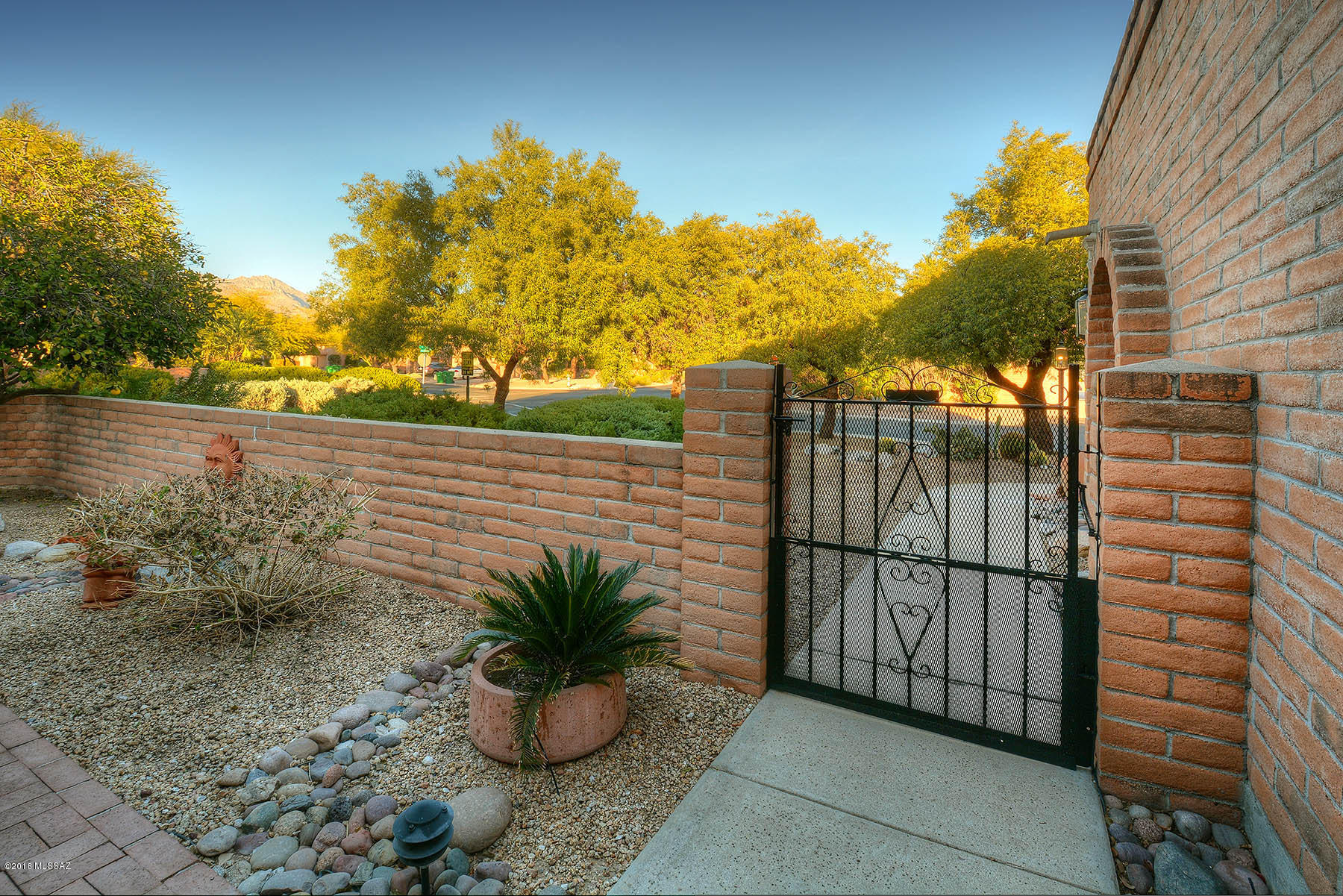 4593 N Camino Campero