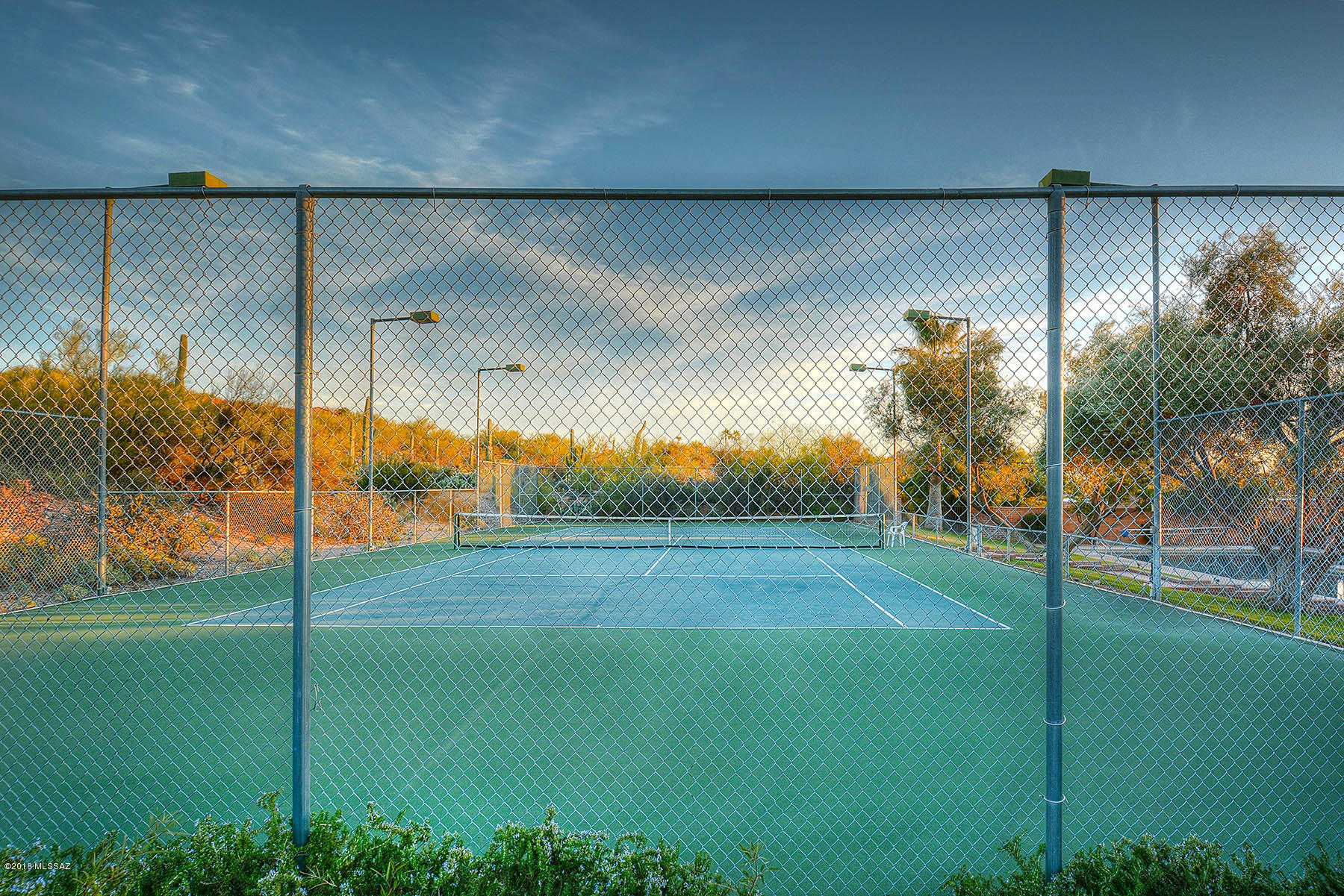 4593 N Camino Campero