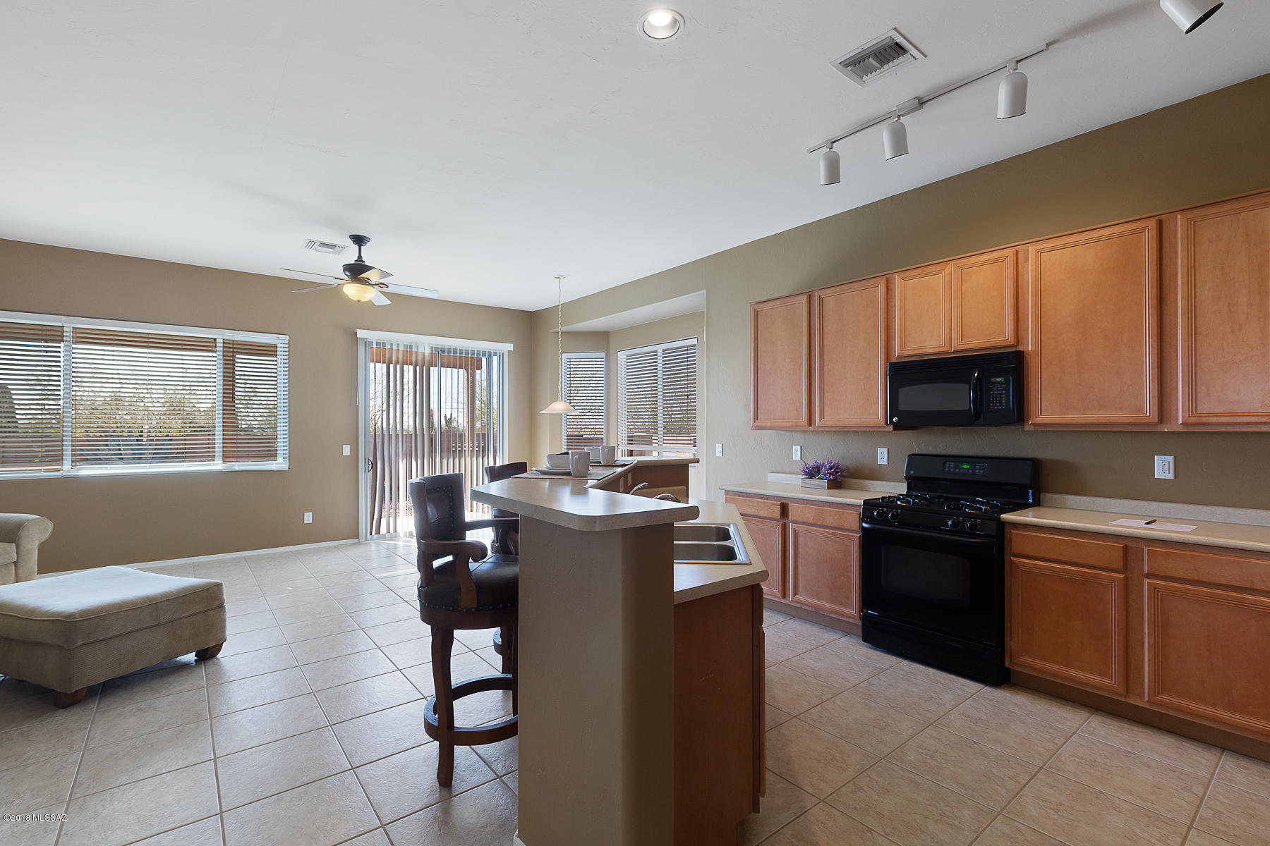 8874 N Sky Dancer Circle N