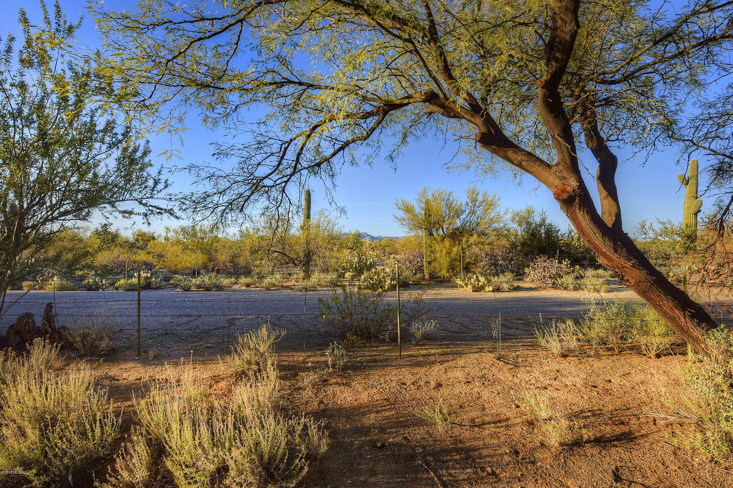 3770 W Mesa Ridge Trail