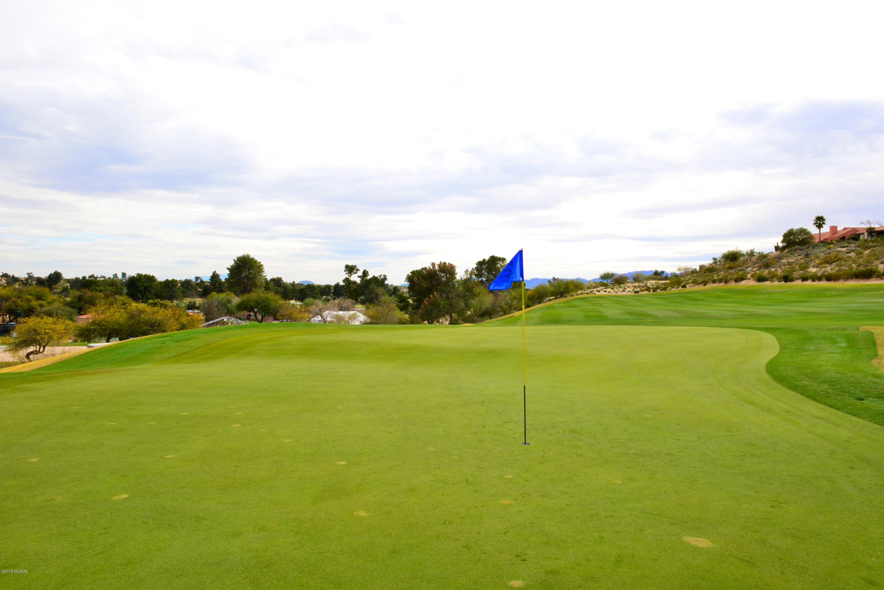 8718 N Walter Hagen Drive