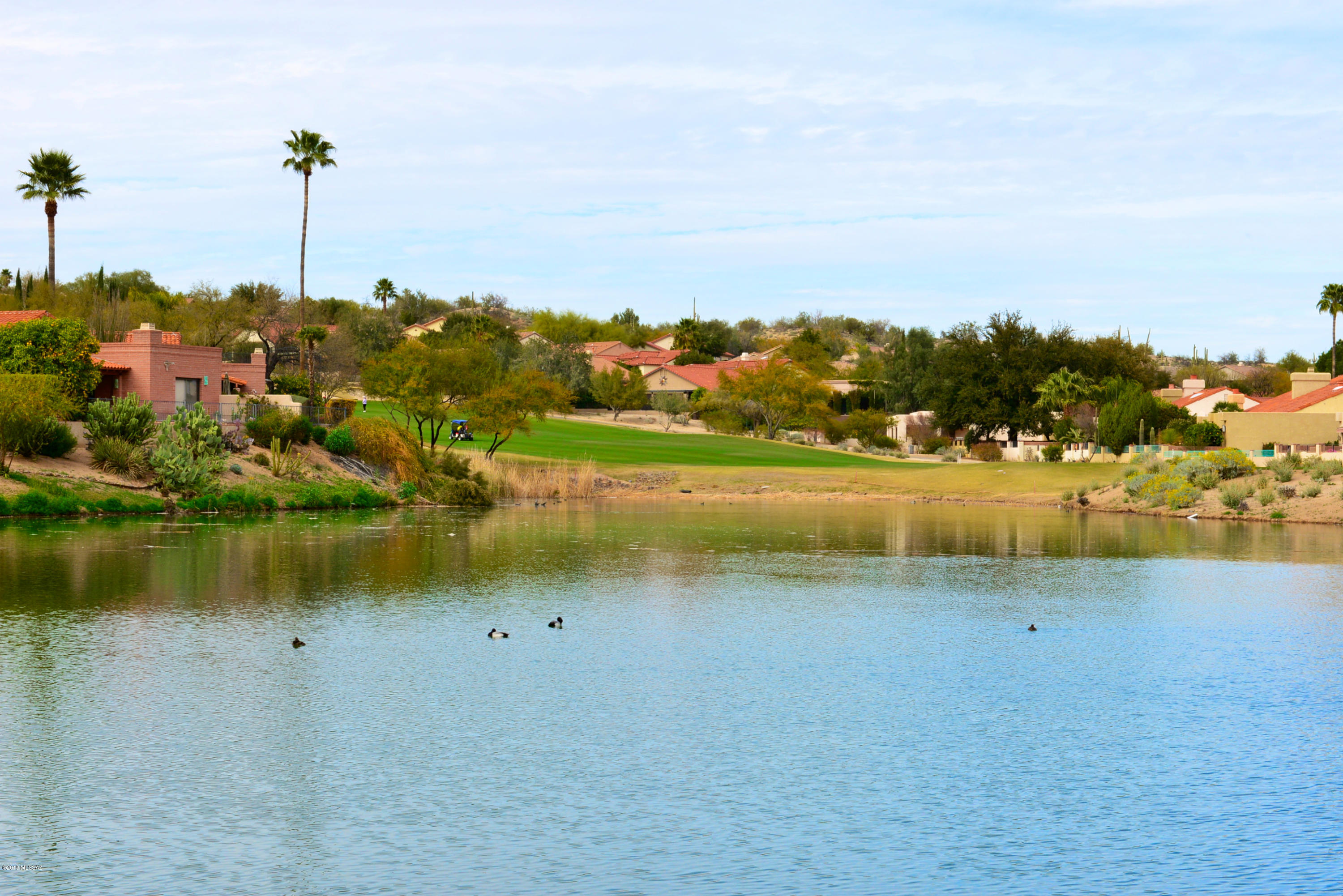 8718 N Walter Hagen Drive