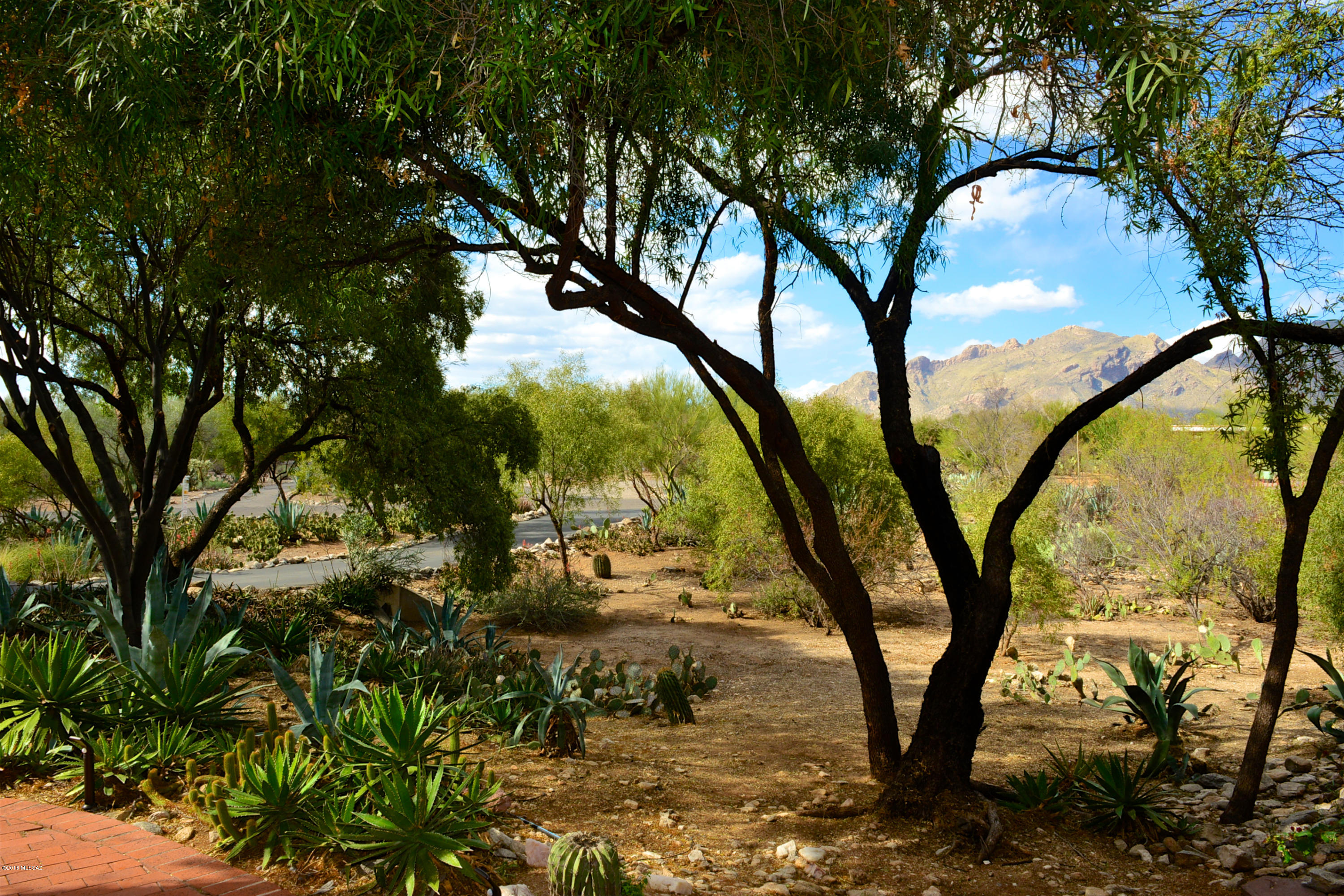 6240 N Camino Miraval