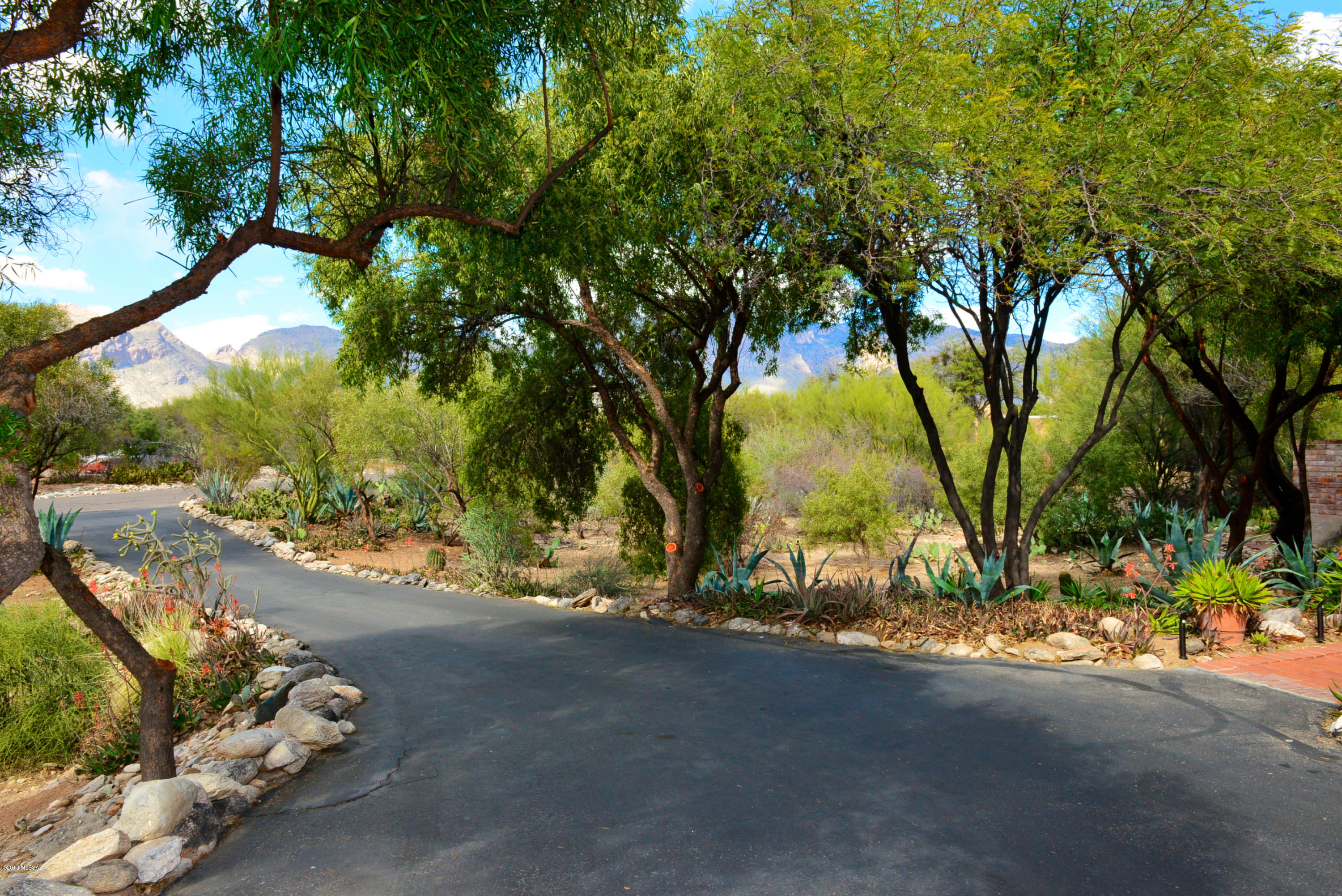 6240 N Camino Miraval