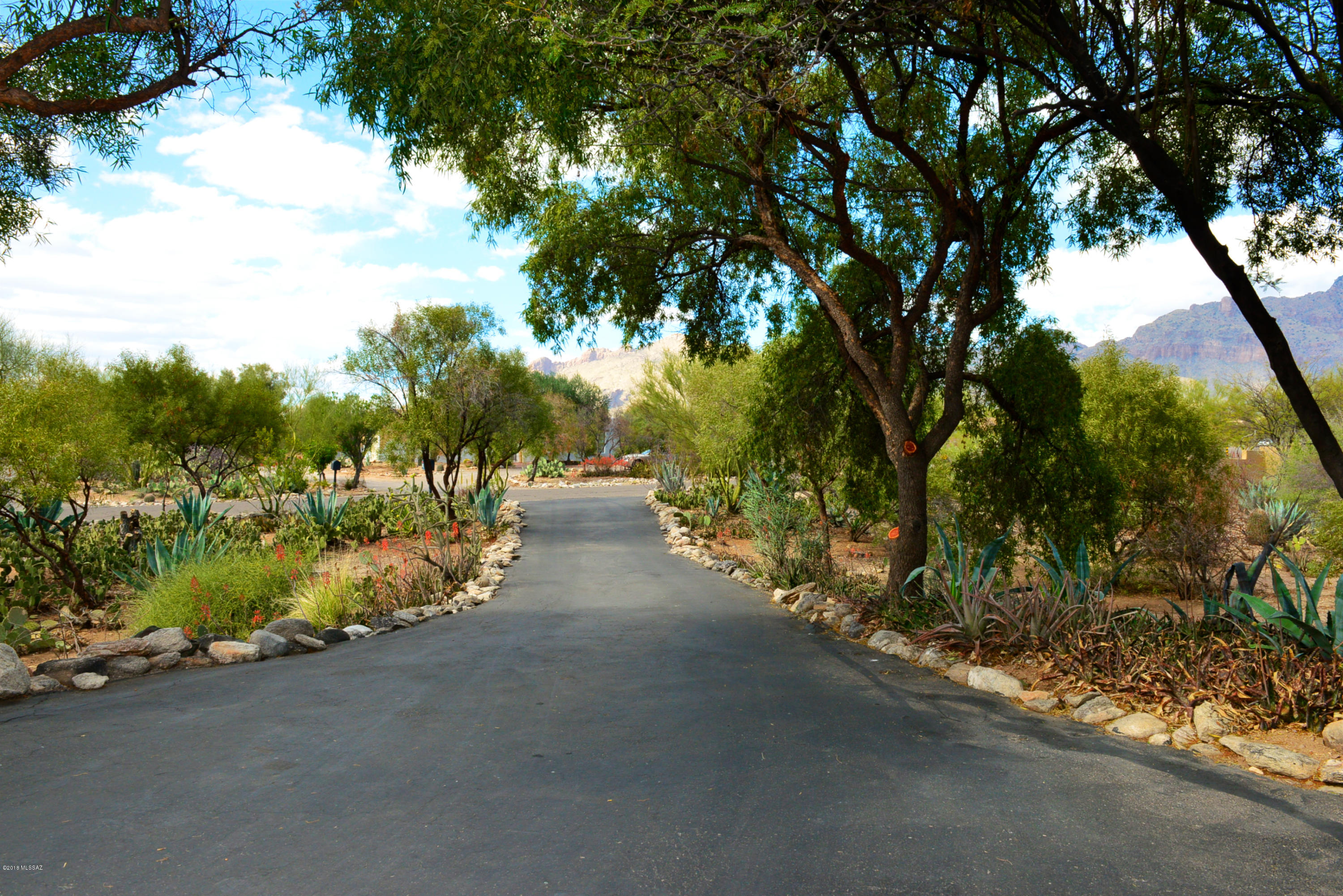 6240 N Camino Miraval