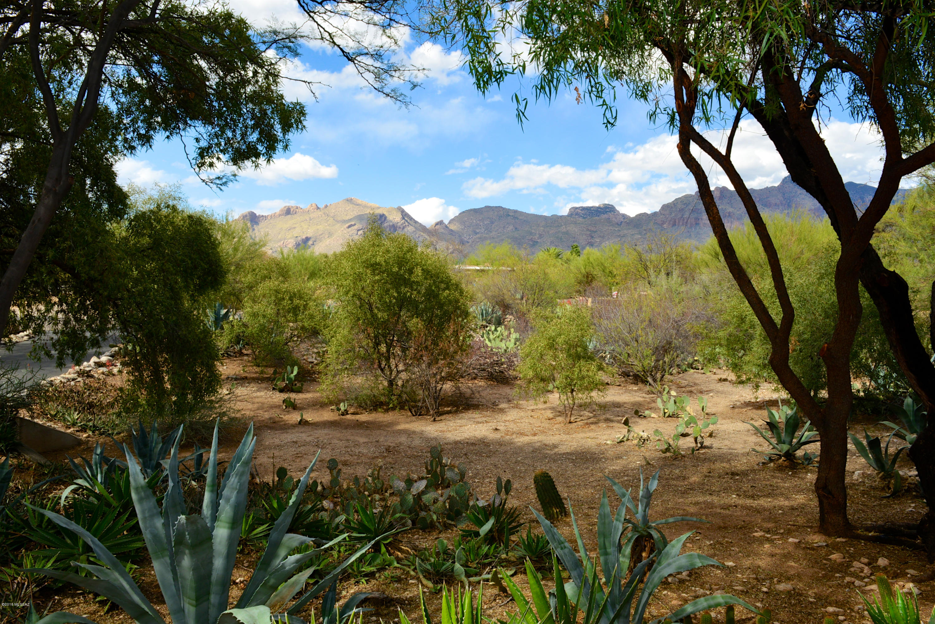 6240 N Camino Miraval