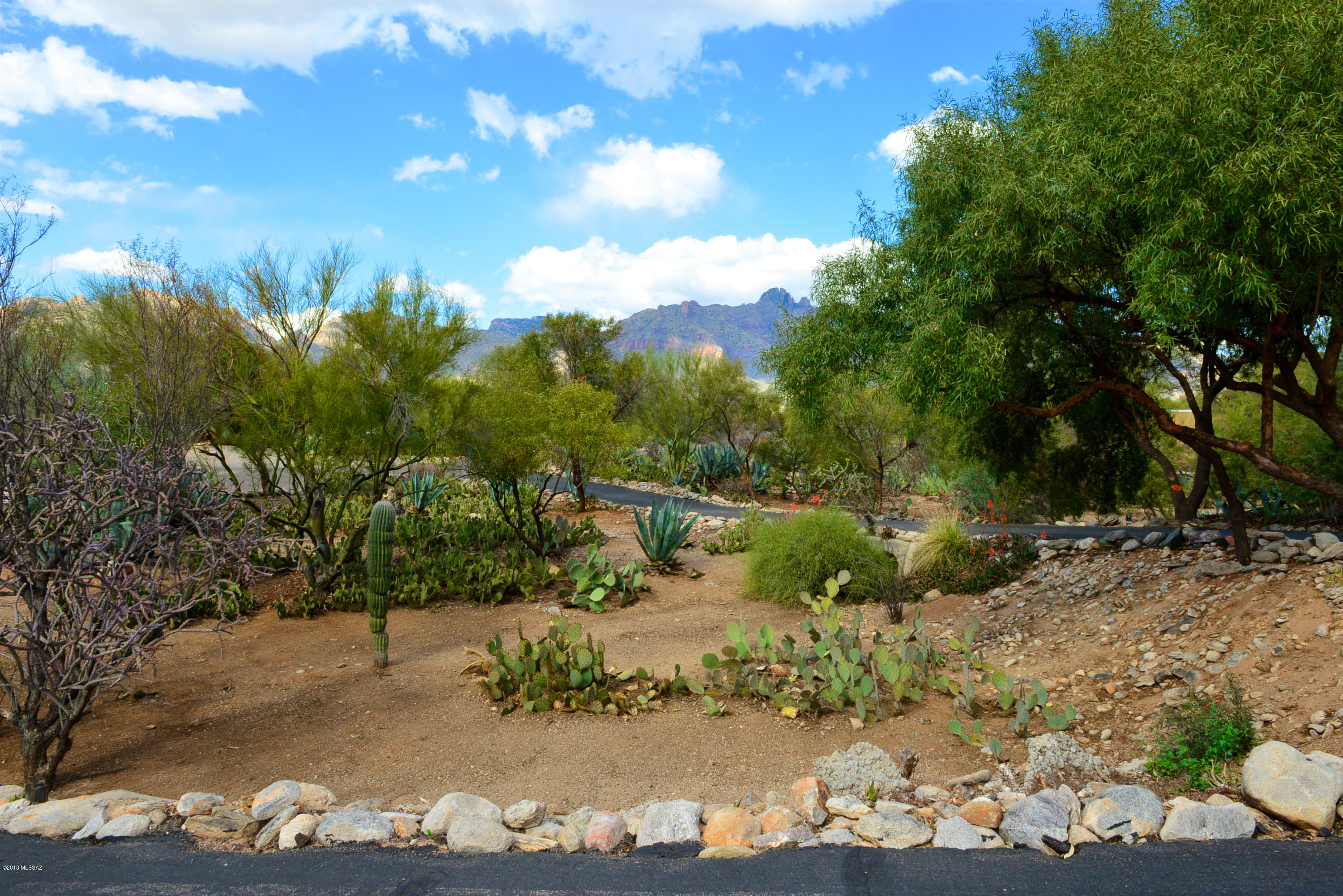 6240 N Camino Miraval