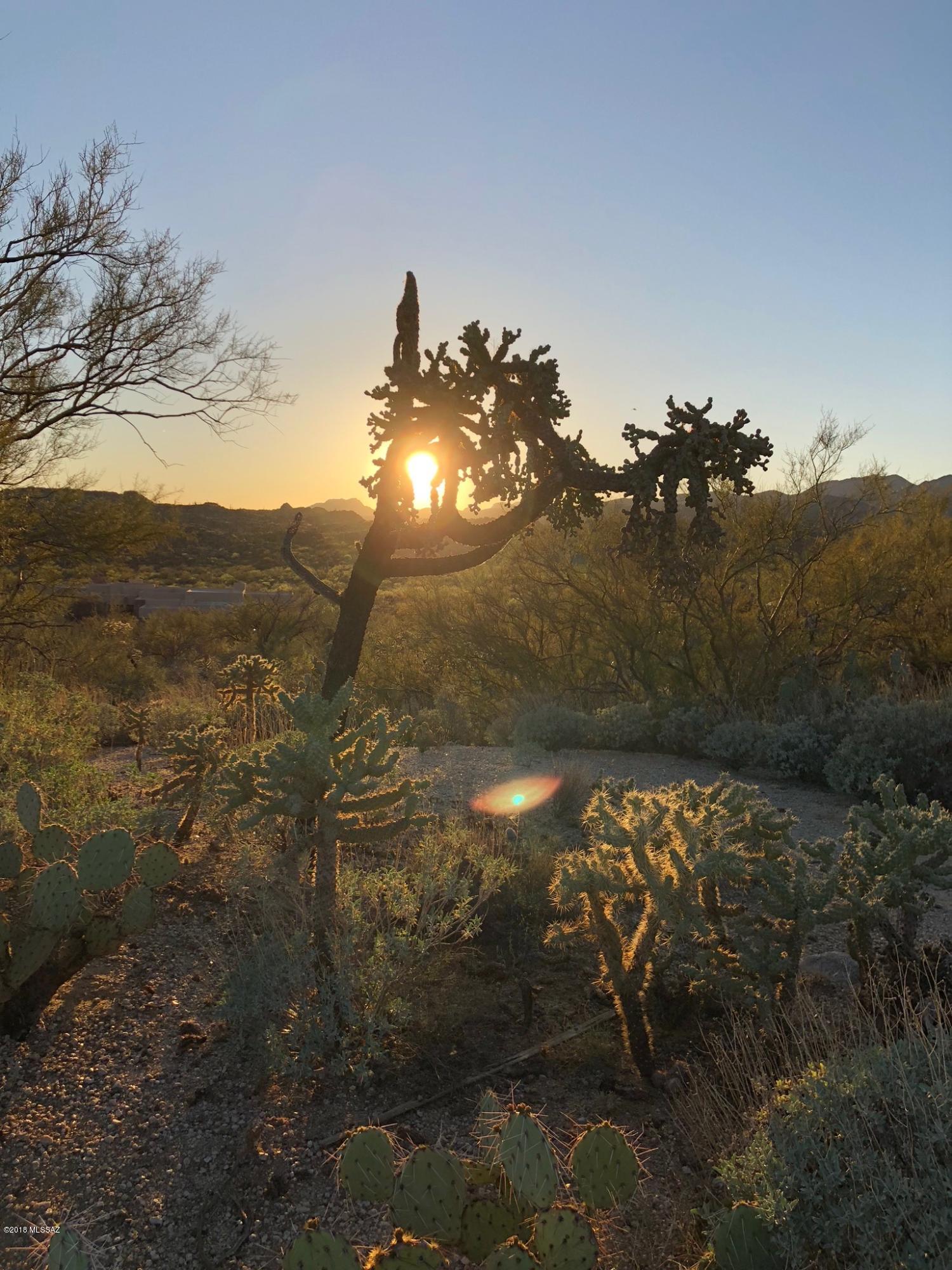 14601 N Quiet Rain Drive Unit: 57