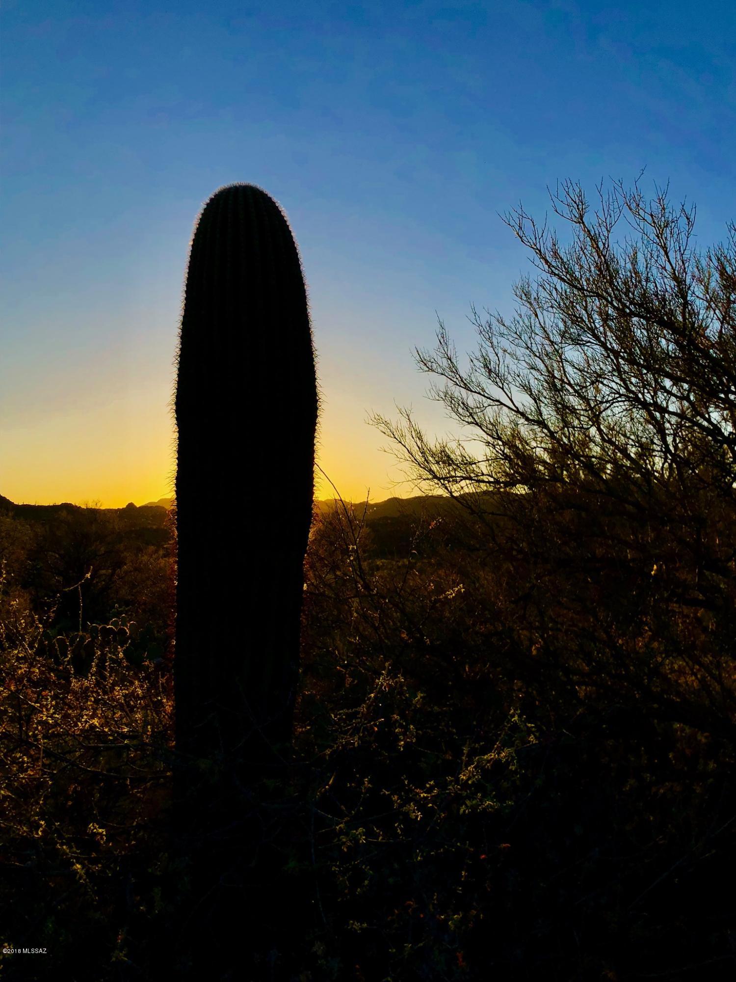 14601 N Quiet Rain Drive Unit: 57