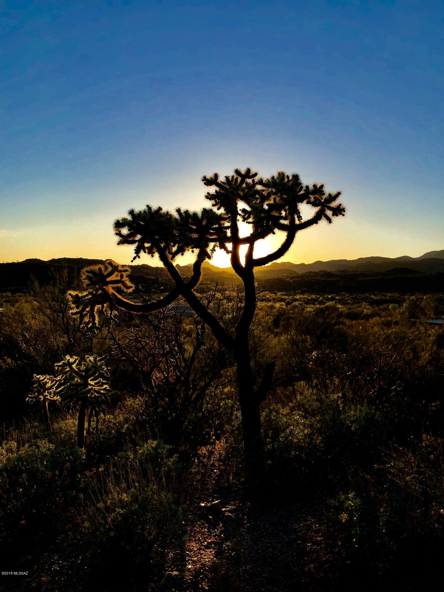 14601 N Quiet Rain Drive Unit: 57