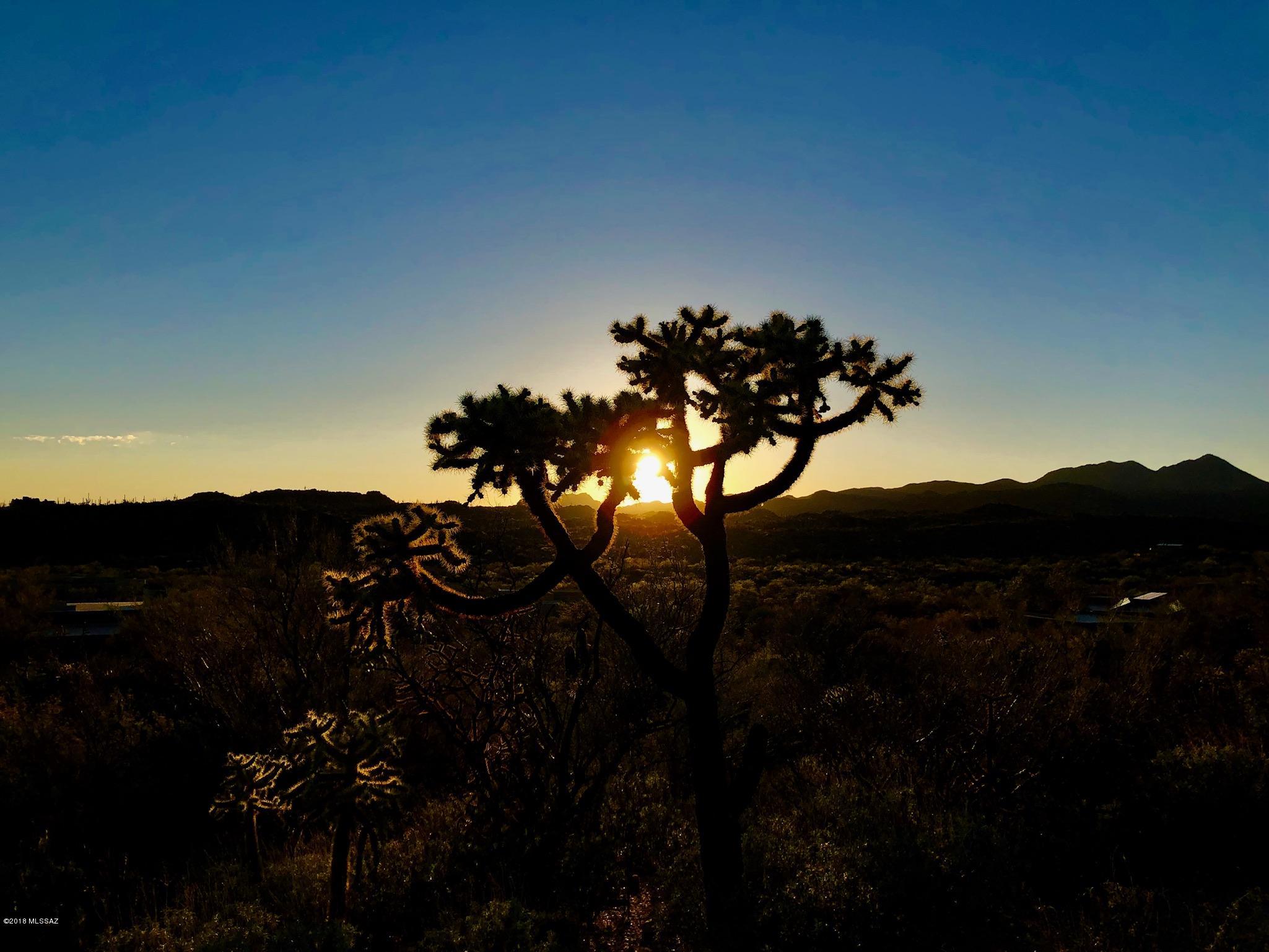 14601 N Quiet Rain Drive Unit: 57