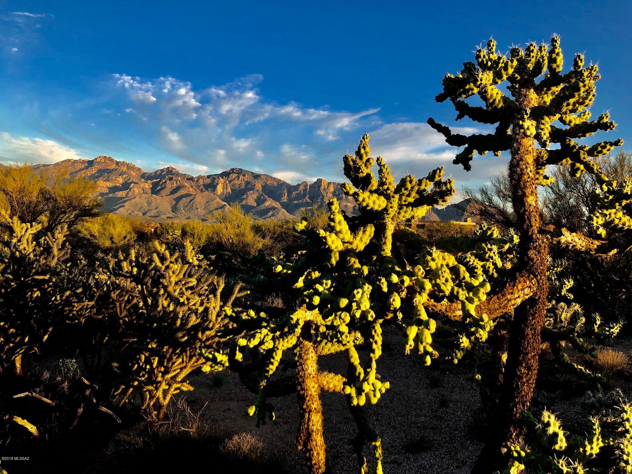 14601 N Quiet Rain Drive Unit: 57