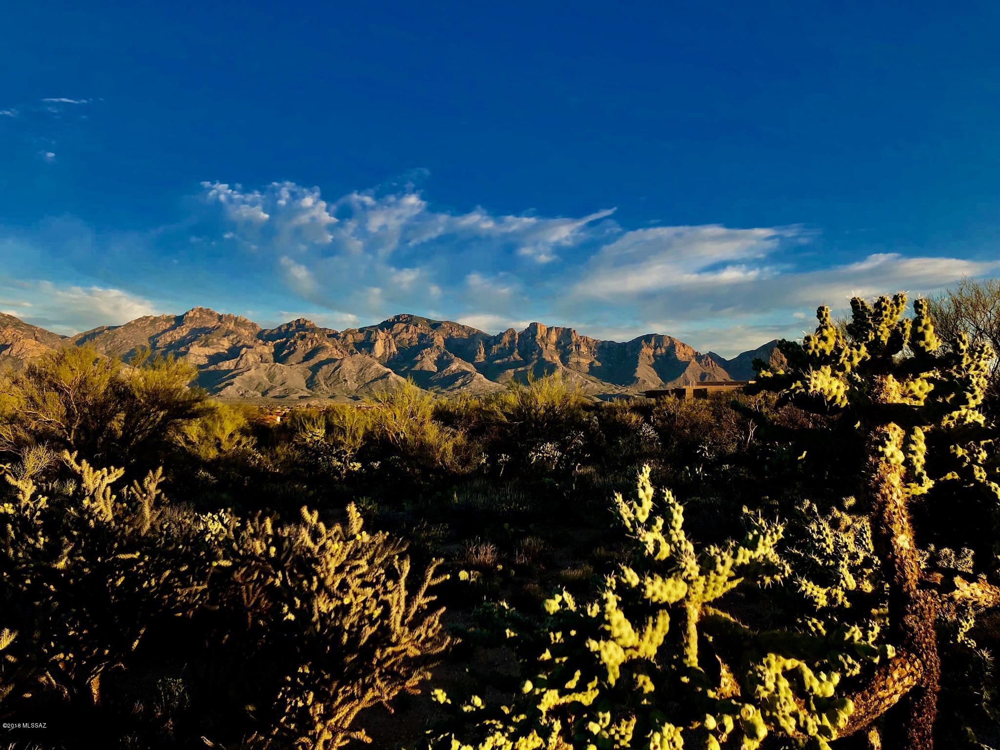 14601 N Quiet Rain Drive Unit: 57