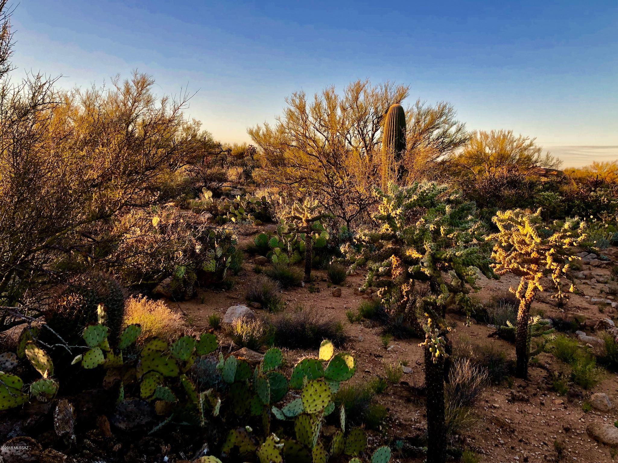 14601 N Quiet Rain Drive Unit: 57