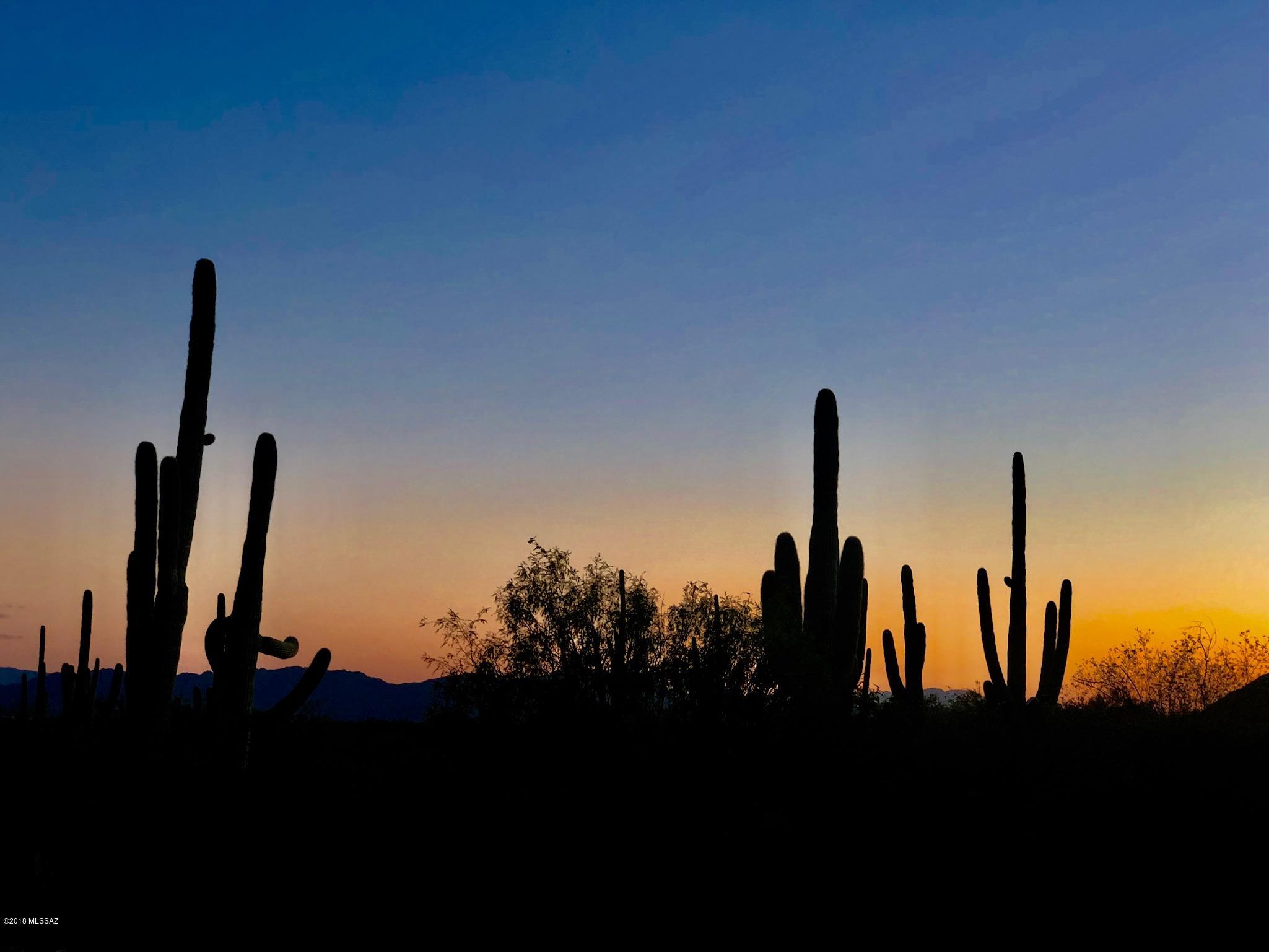 14601 N Quiet Rain Drive Unit: 57