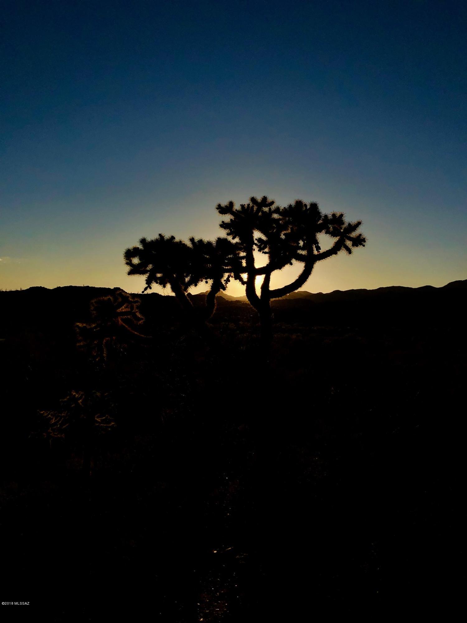 14601 N Quiet Rain Drive Unit: 57