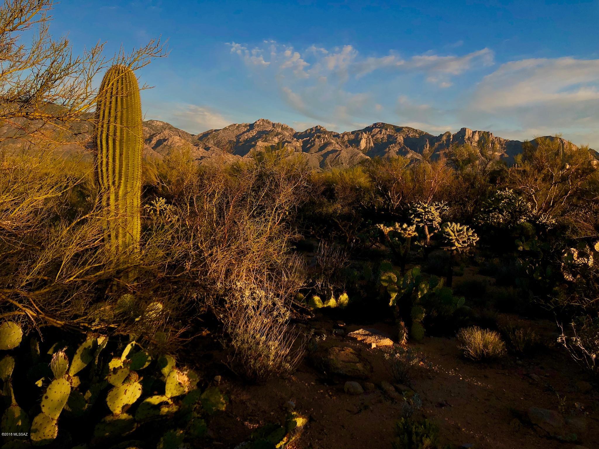 14601 N Quiet Rain Drive Unit: 57