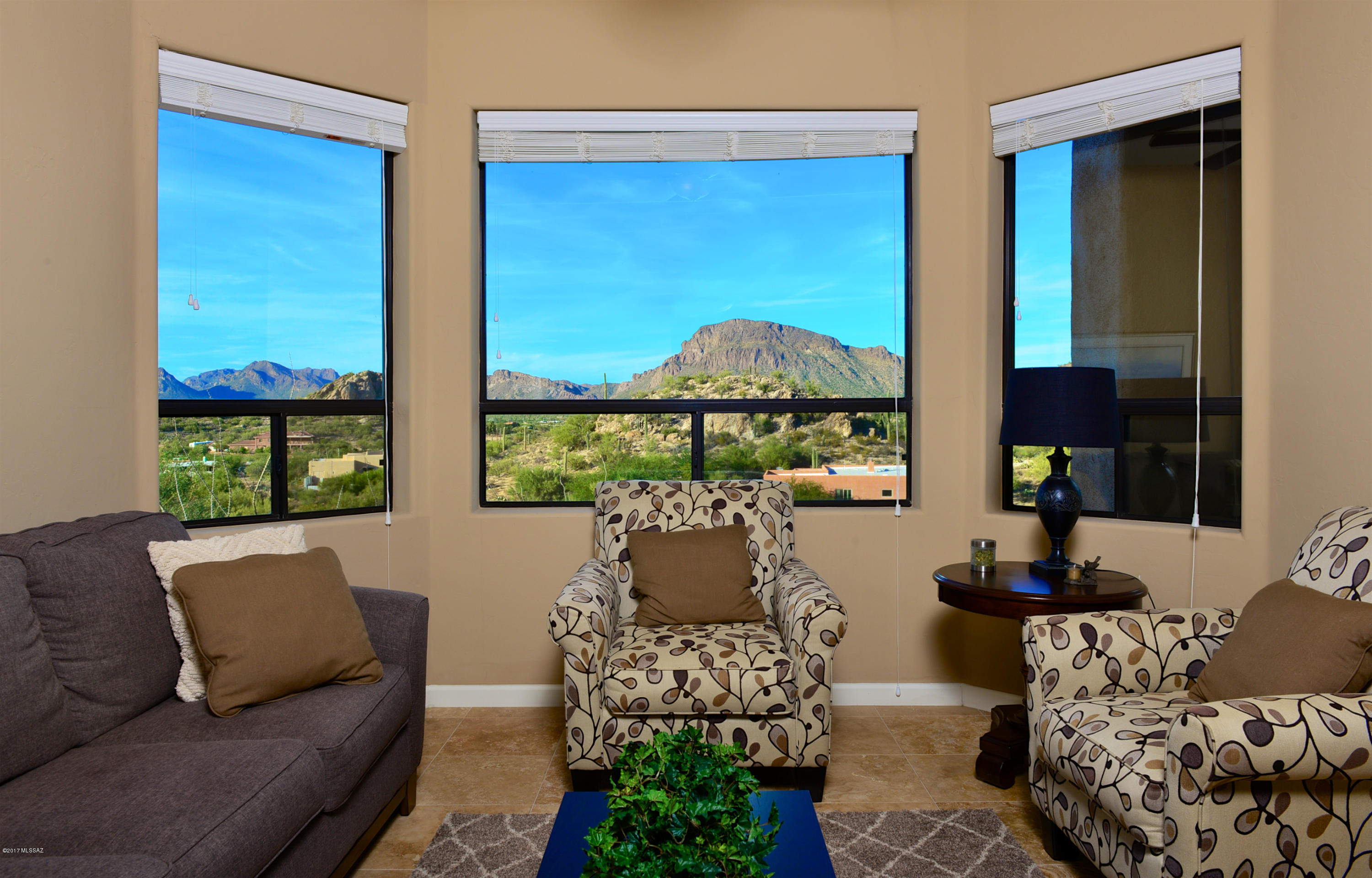 5460 S Camino De Oeste