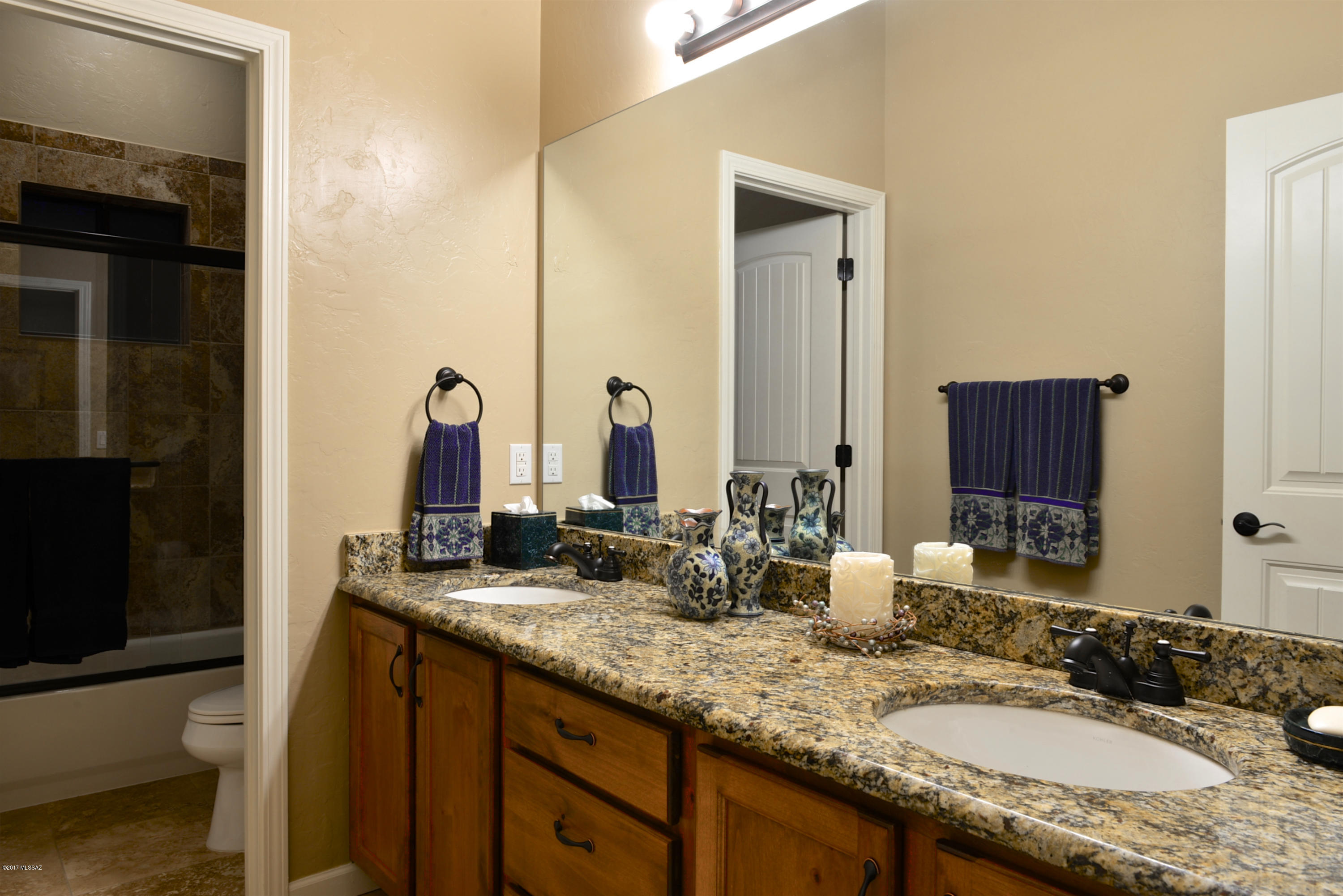 5460 S Camino De Oeste