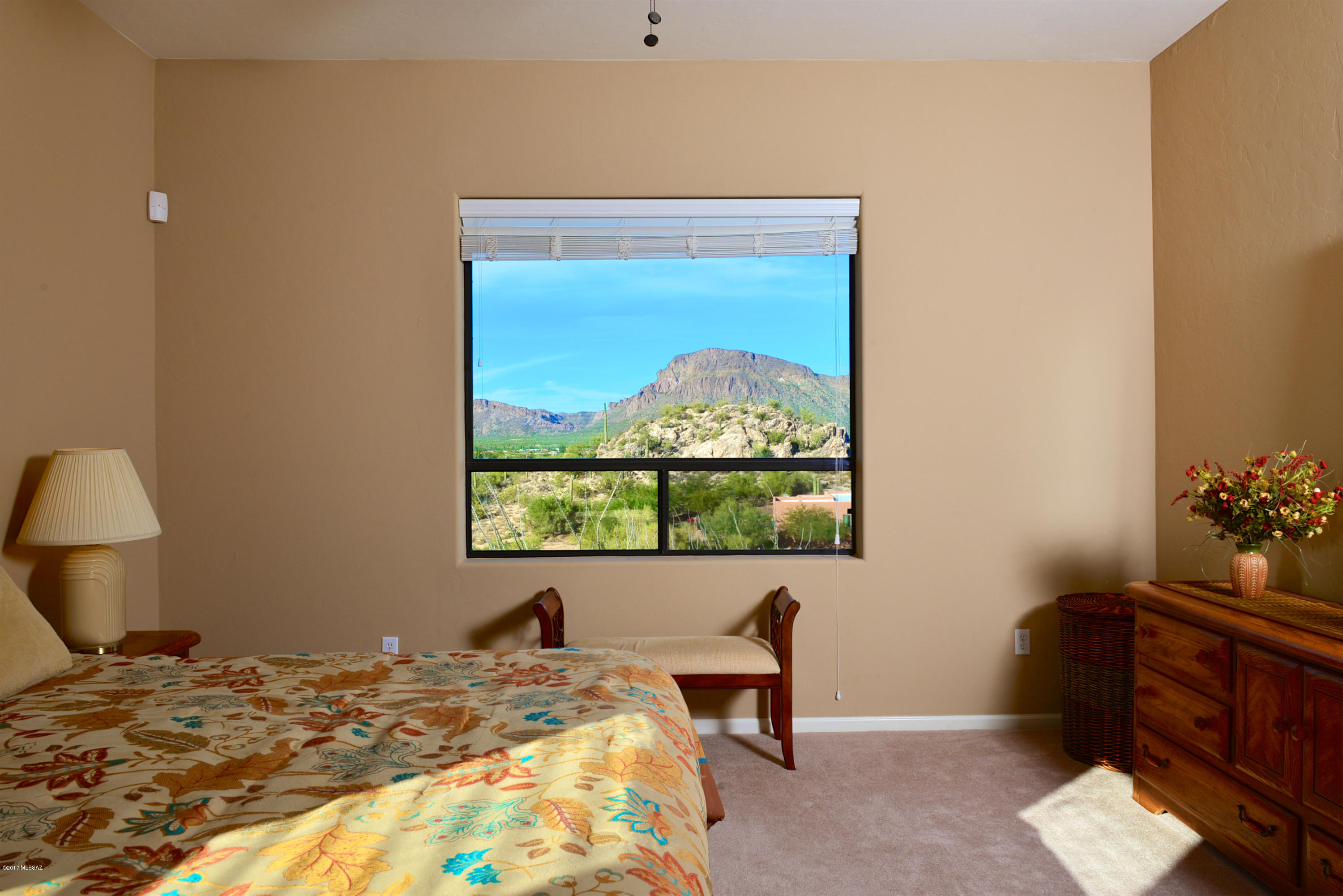 5460 S Camino De Oeste